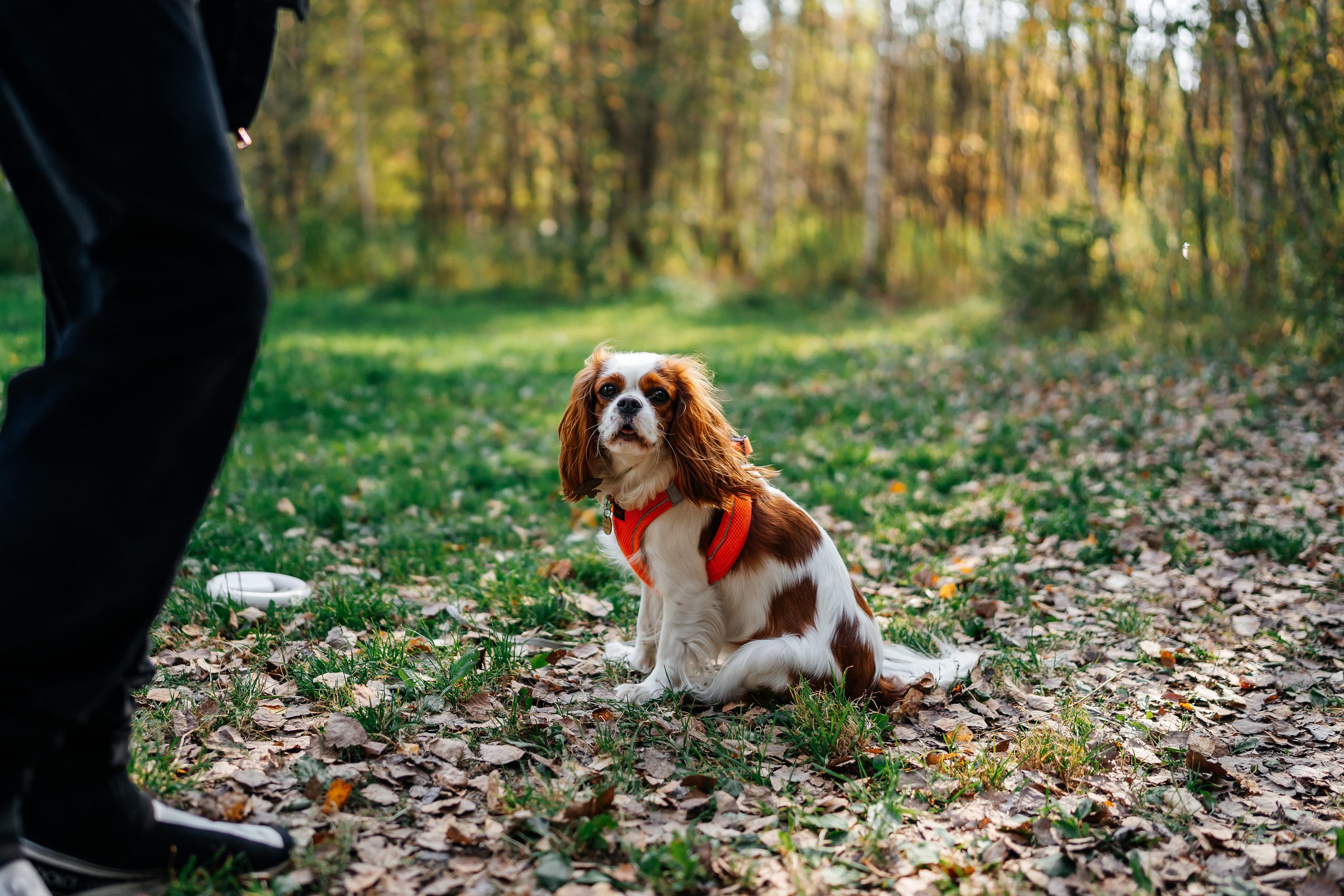 Семейная фотосессия Пилигрим Порто. Семейный фотограф в Москве Ирина Жур