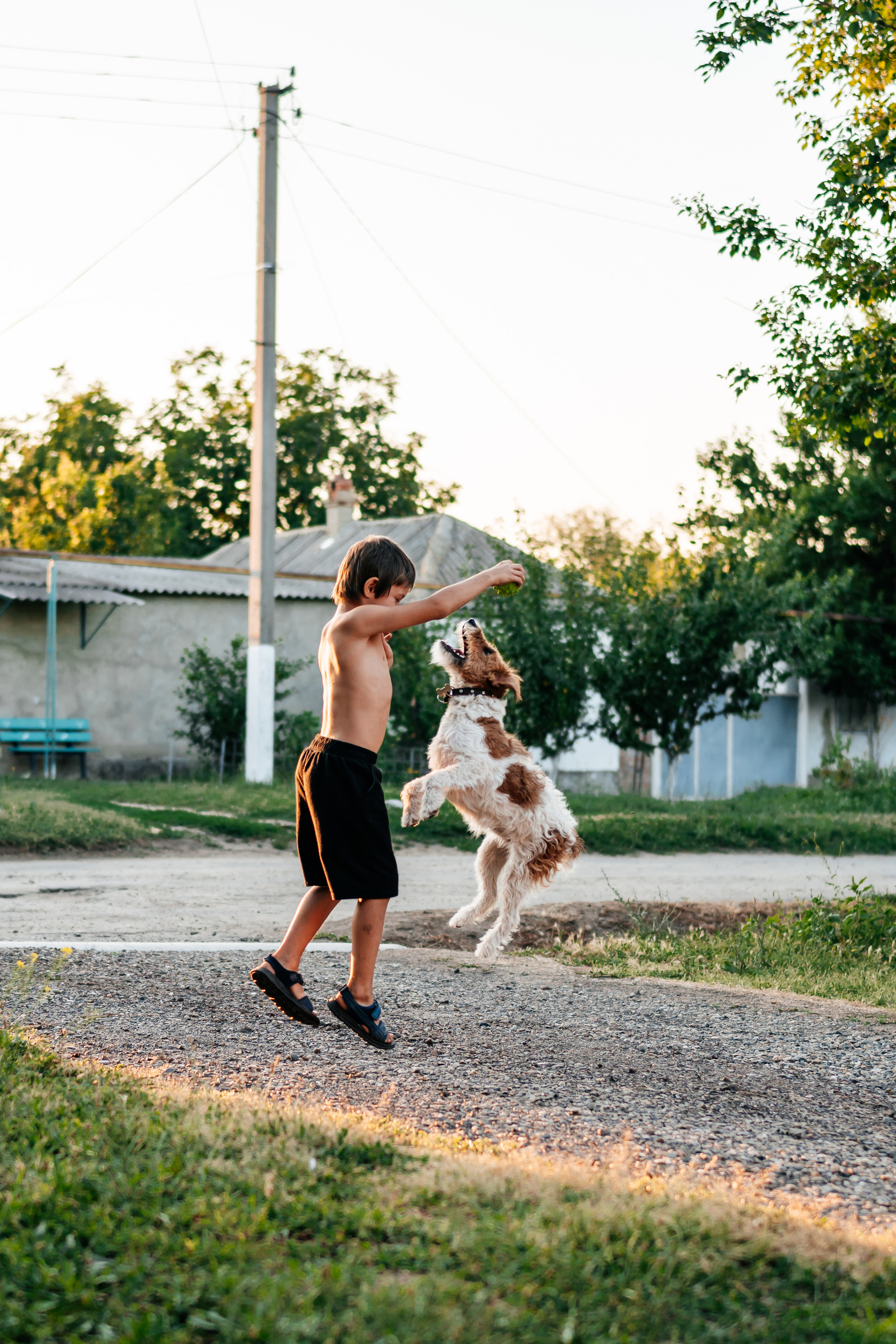 мальчик с собакой 