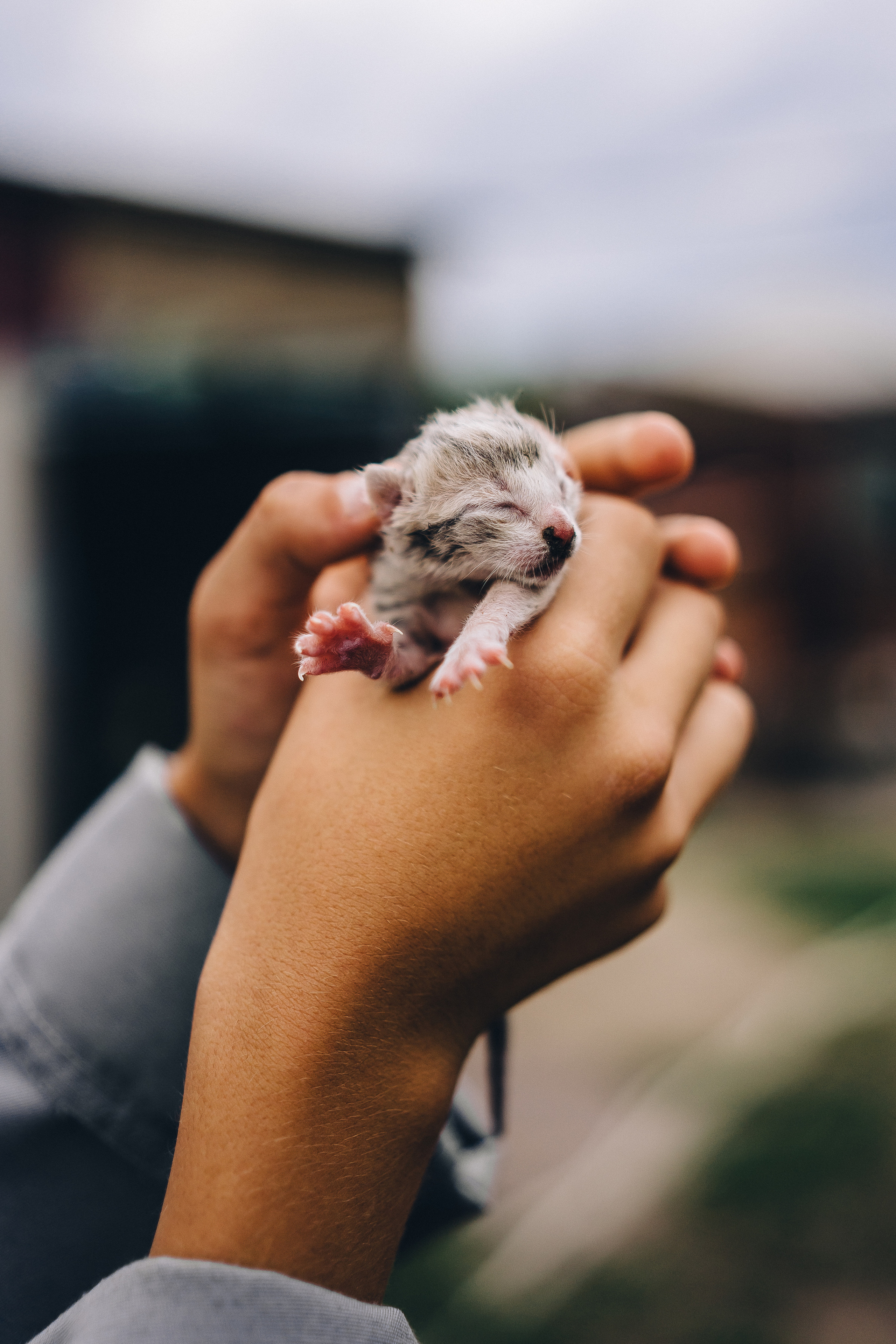 Каникулы в деревне. Семейный фотограф в Москве Ирина Жур