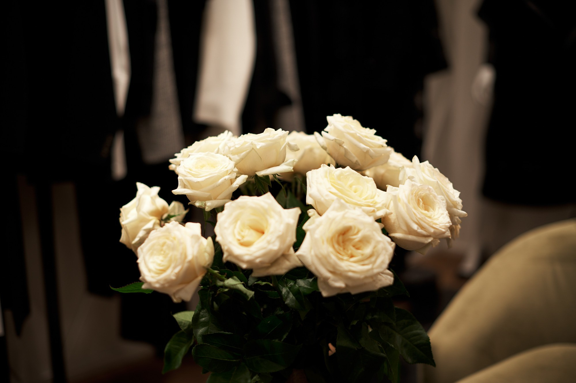 Девелопер-кафе РСТЦ. Фотограф видеограф в Москве