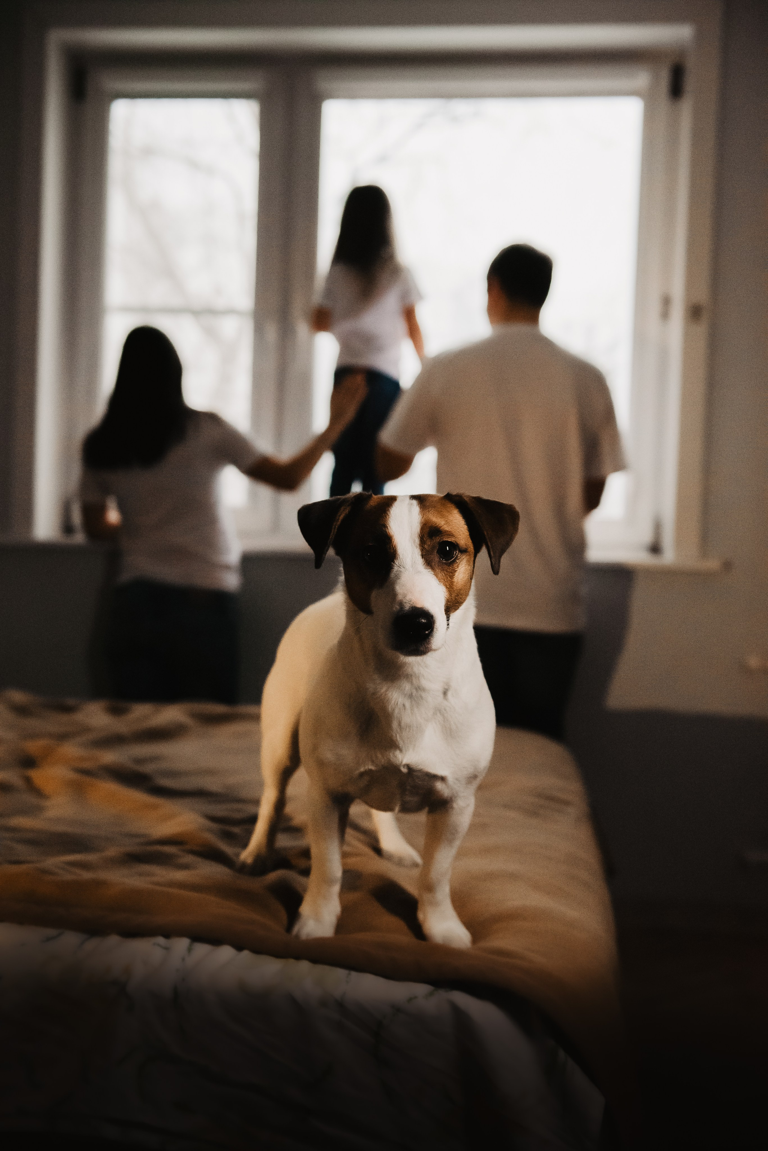 Братик или сестричка?. Семейный Фотограф в Москве Ирина Хохлова