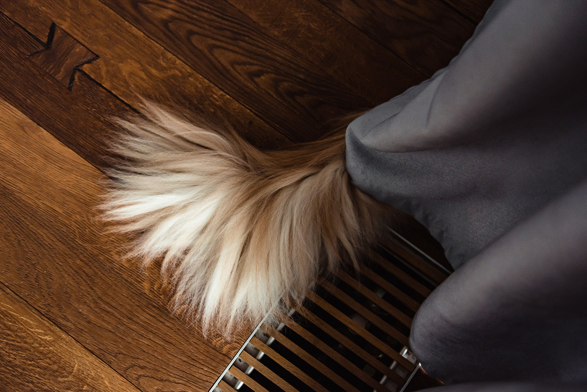 Алена, Виктор, Оливка и Ластик. Семейный Фотограф в Москве Ирина Хохлова