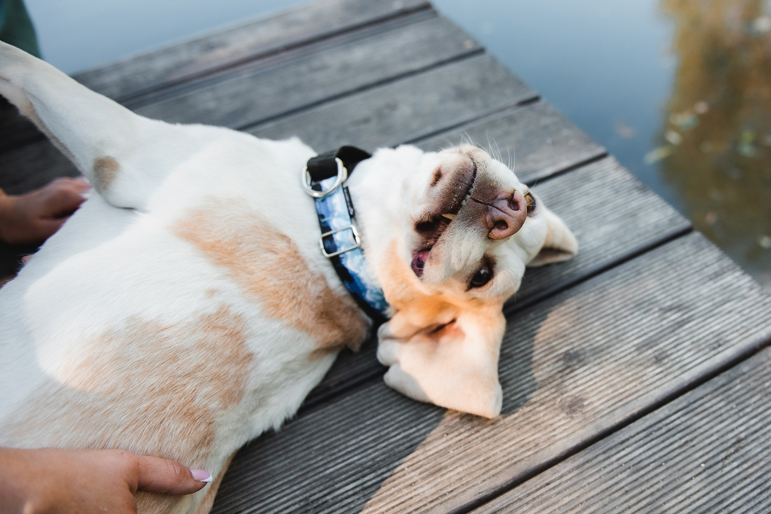 Оля и Ника. Семейный Фотограф в Москве Ирина Хохлова