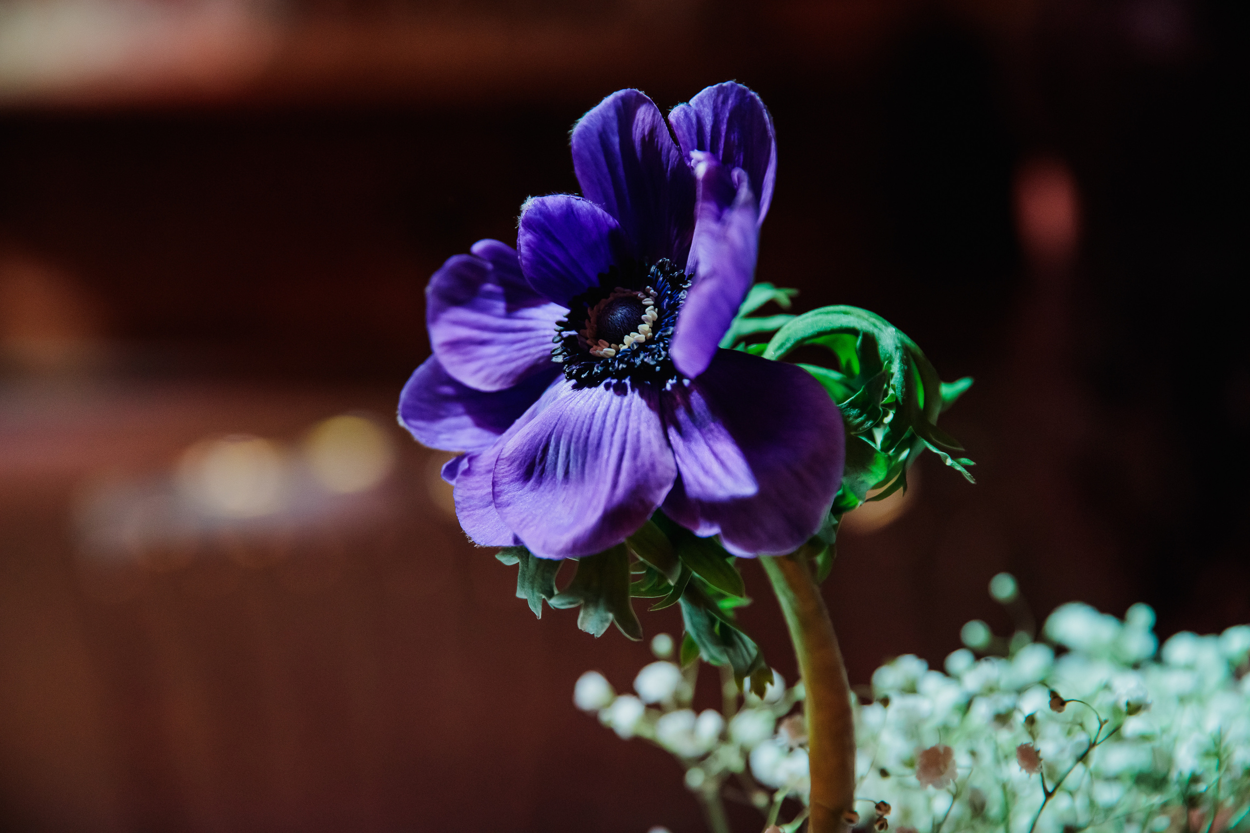 Романтика зимнего Питера. Свадебный и семейный фотограф в Москве Анастасия Карасева