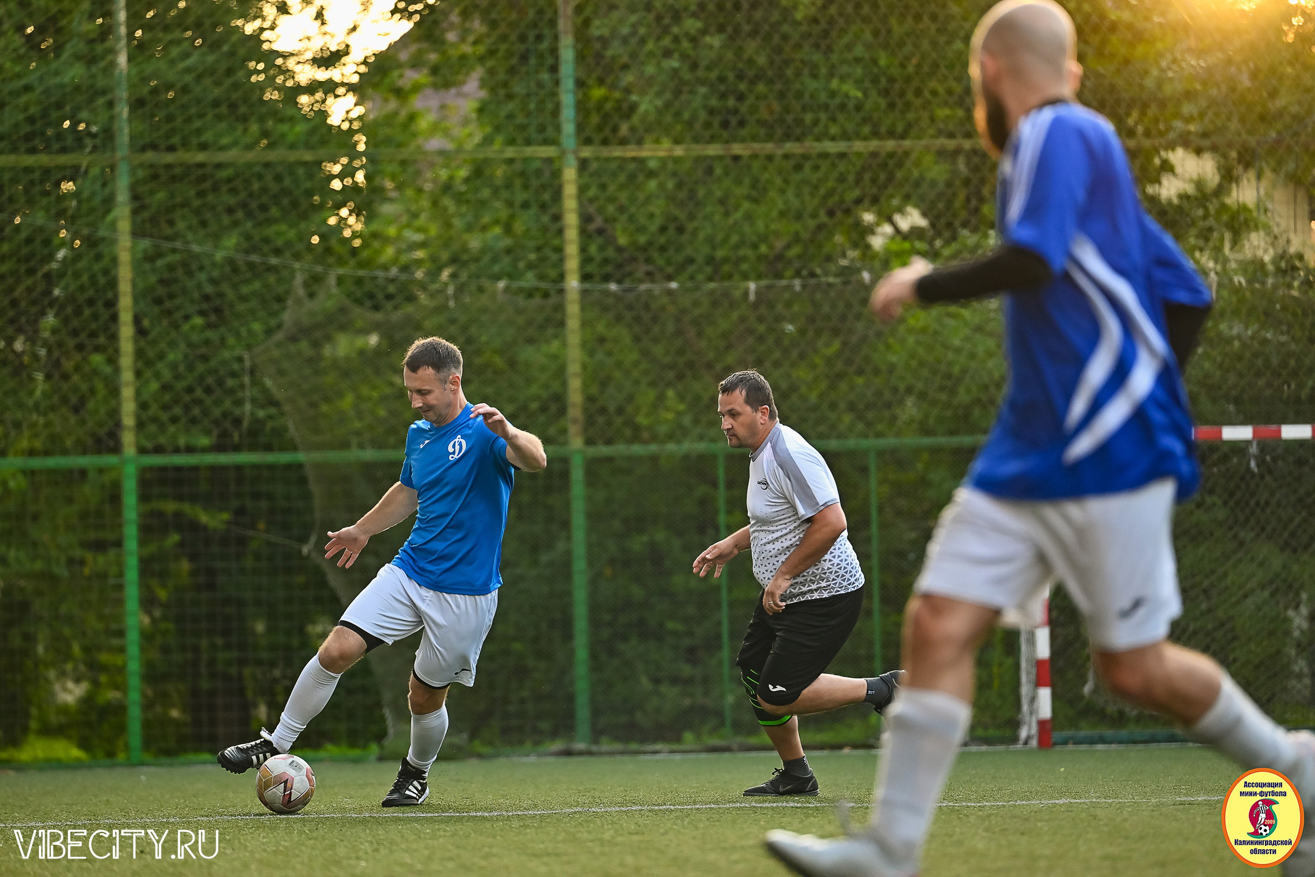 ИГРЫ ПЛЕЙ-ОФФ ПЕРВОГО ДИВИЗИОНА МИНИ-ФУТБОЛЬНОЙ ЛИГИ. VIBECITY.RU Вайб Сити Ру Фоторепортажи Фотоотчеты Калининград