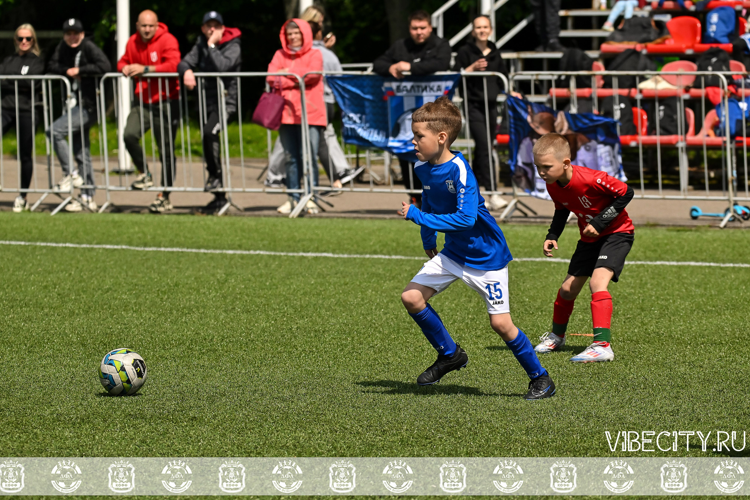 Большие Звезды светят Малым. VIBECITY.RU Вайб Сити Ру Фоторепортажи Фотоотчеты Калининград