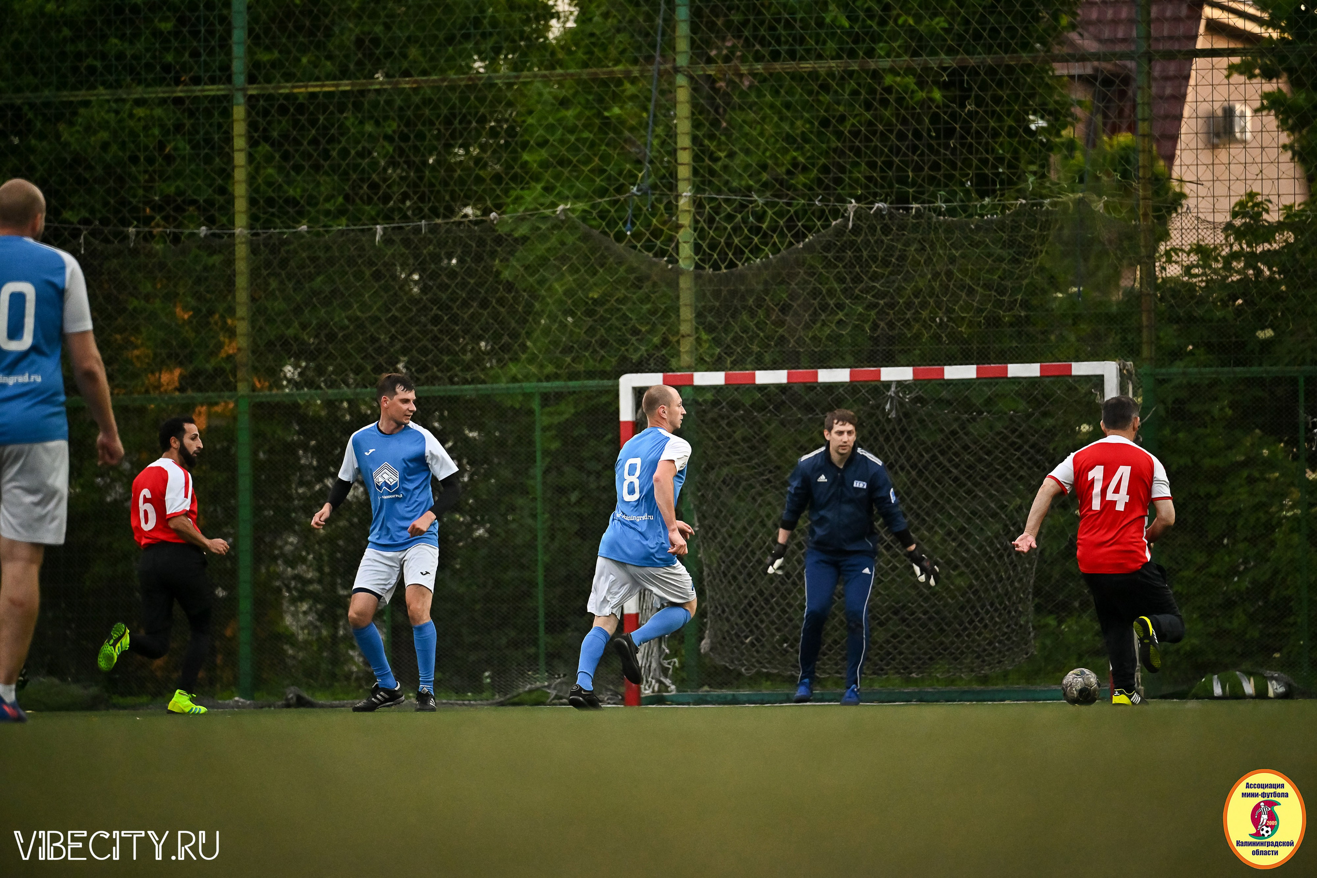 ИГРЫ МИНИ-ФУТБОЛЬНОЙ И КОРПОРАТИВНОЙ ЛИГИ. VIBECITY.RU Вайб Сити Ру Фоторепортажи Фотоотчеты Калининград