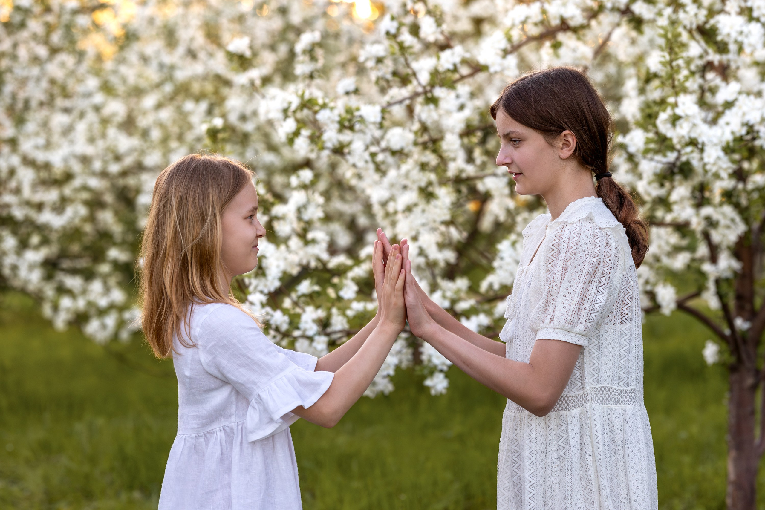 Яблоневый сад. Семейный и детский фотограф в Красноярске, Дивногорцева Светлана