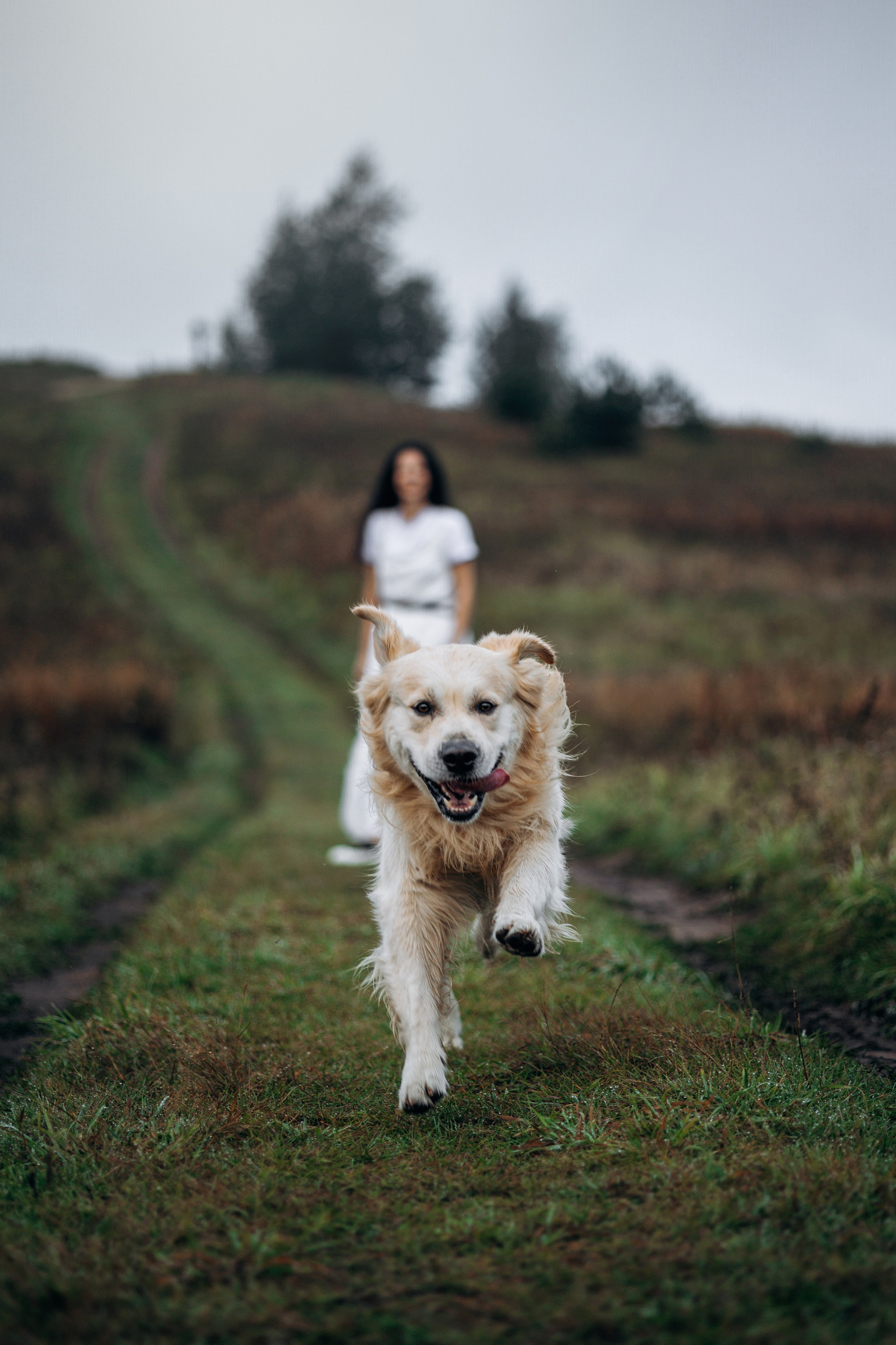 Лёва и его семья. Фотограф — Анималист | Санкт-Петербург