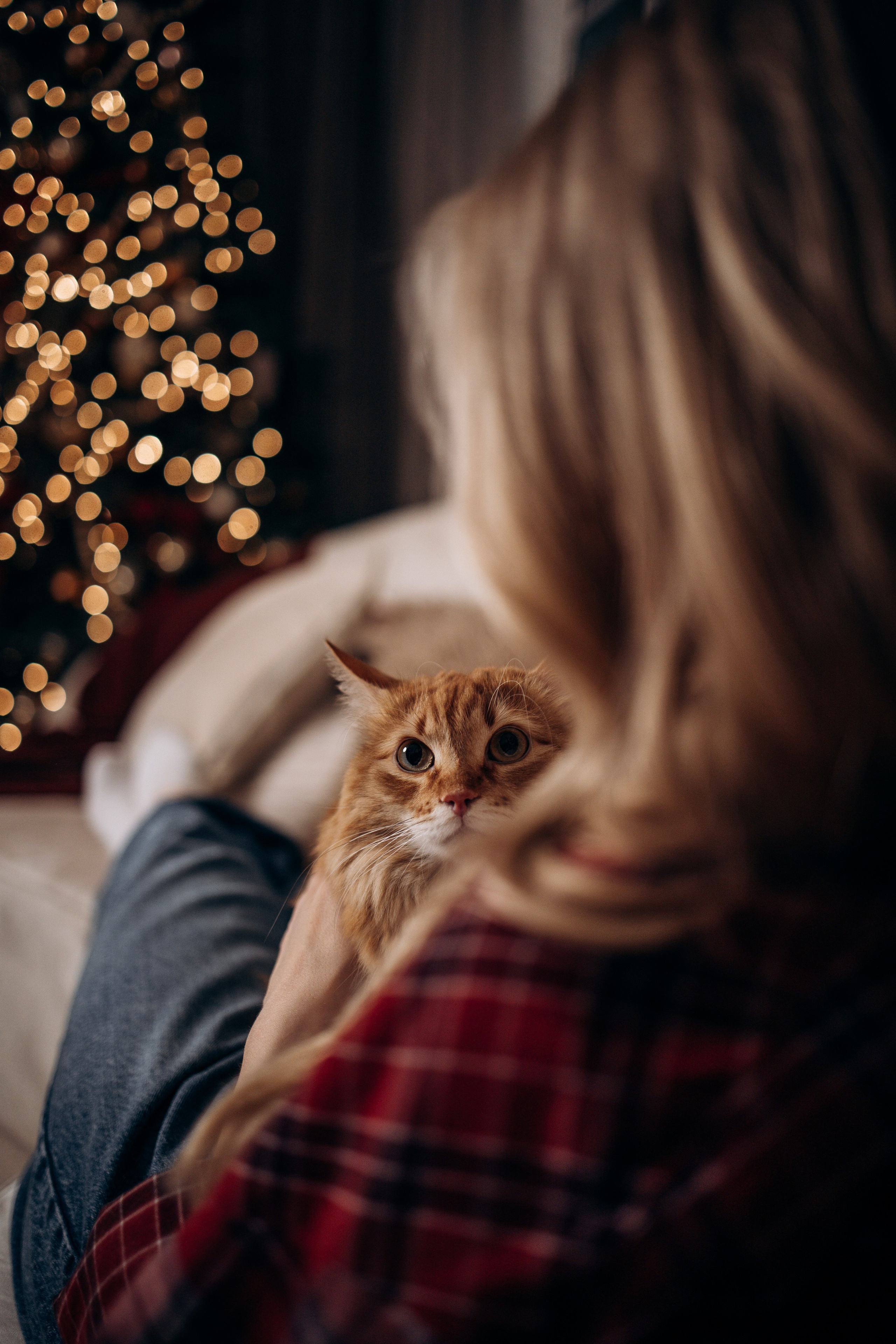 Эля и Франц. Фотограф — Анималист | Санкт-Петербург