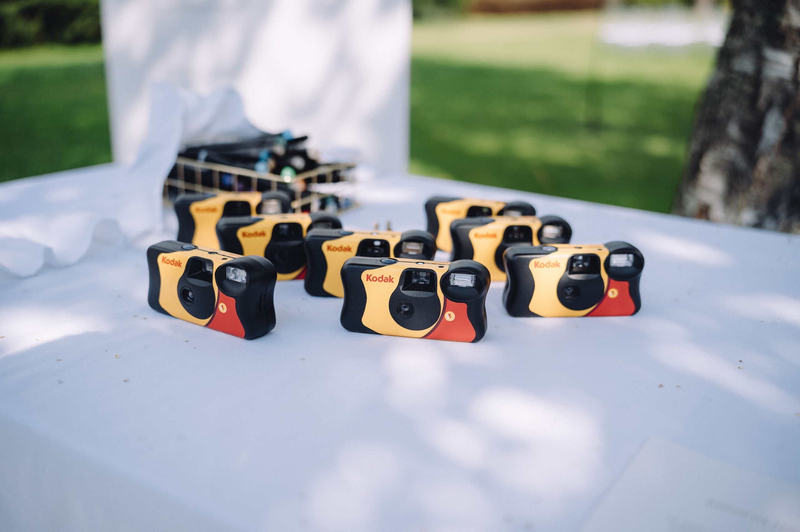 Вадик и Мари. Профессиональный фотограф Алексей Васенцев. Минск, СПБ, Москва