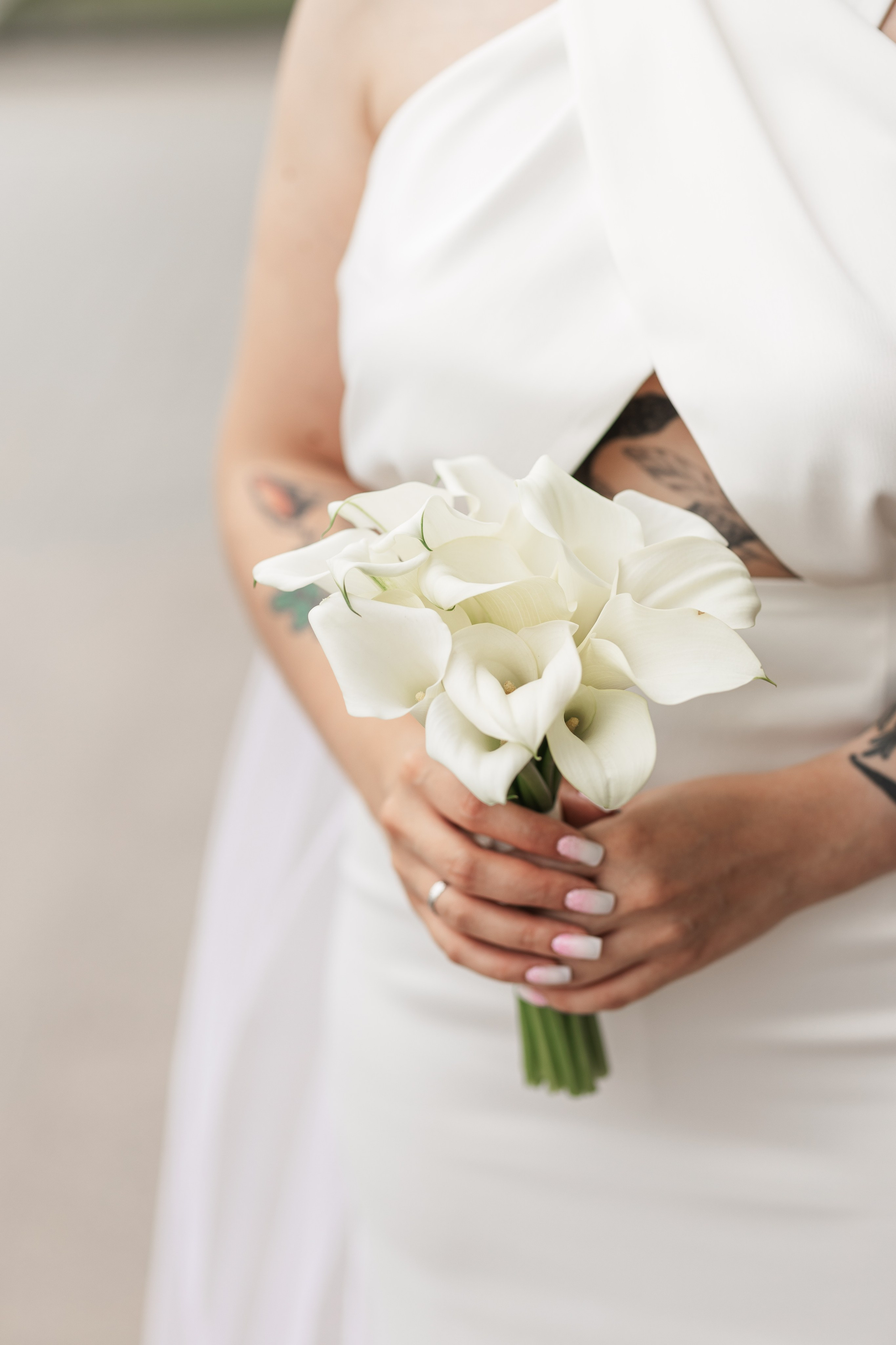 ХУДОЖЕСТВЕННЫЙ МУЗЕЙ. Cheta Kovalevsky фотографы