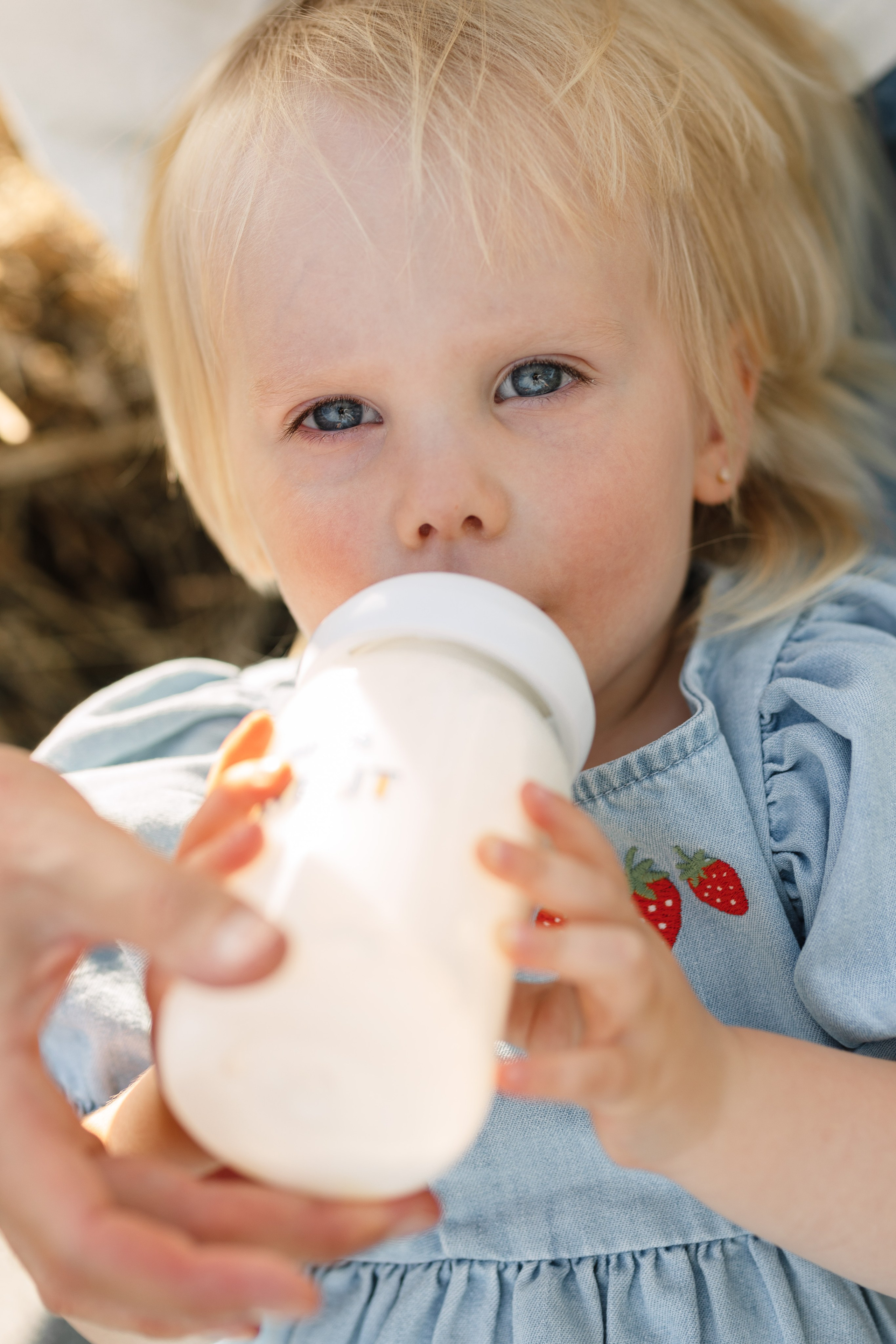 ДУБЫ. Cheta Kovalevsky фотографы