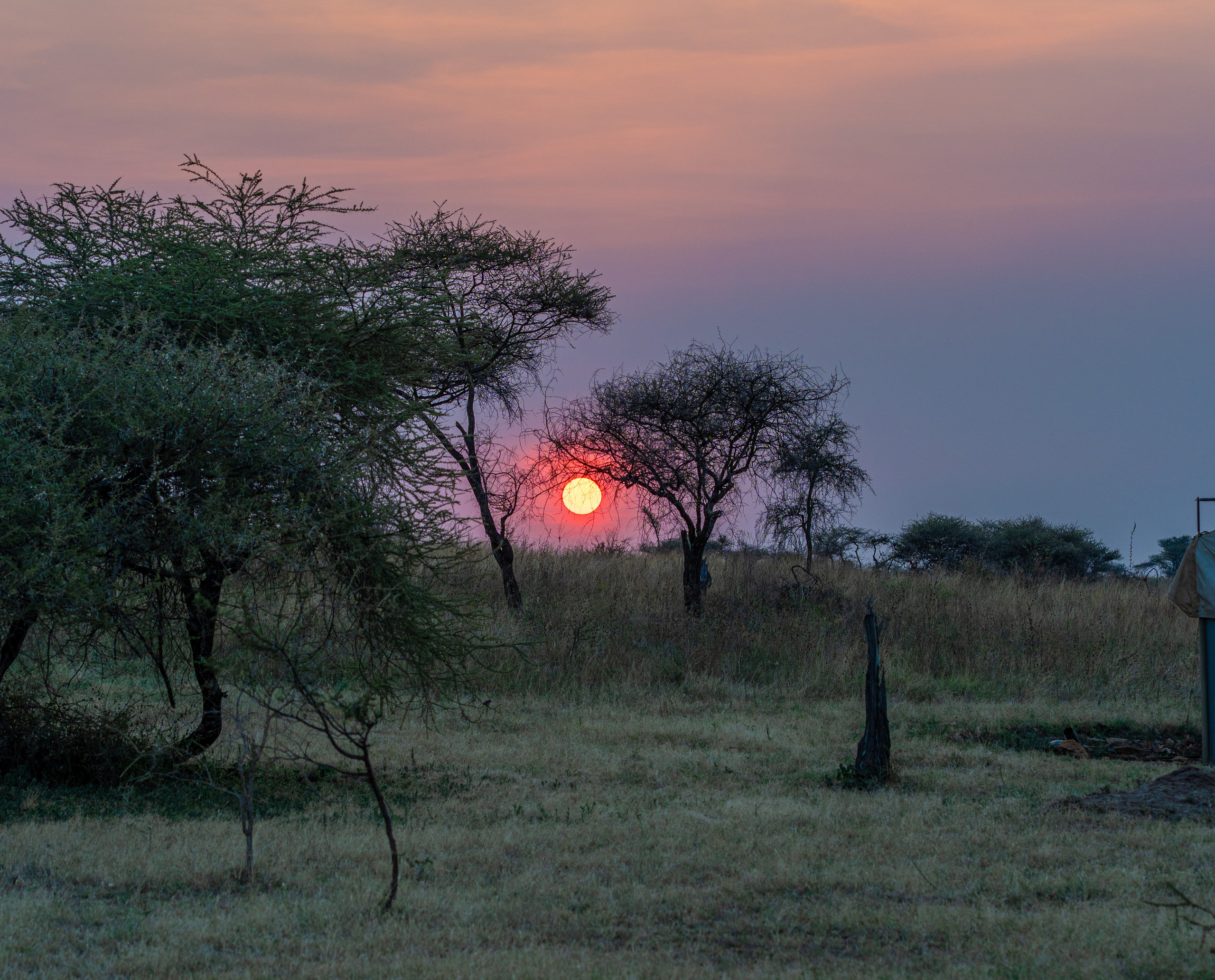 Танзания, сафари, 2025. Творческие сьемки