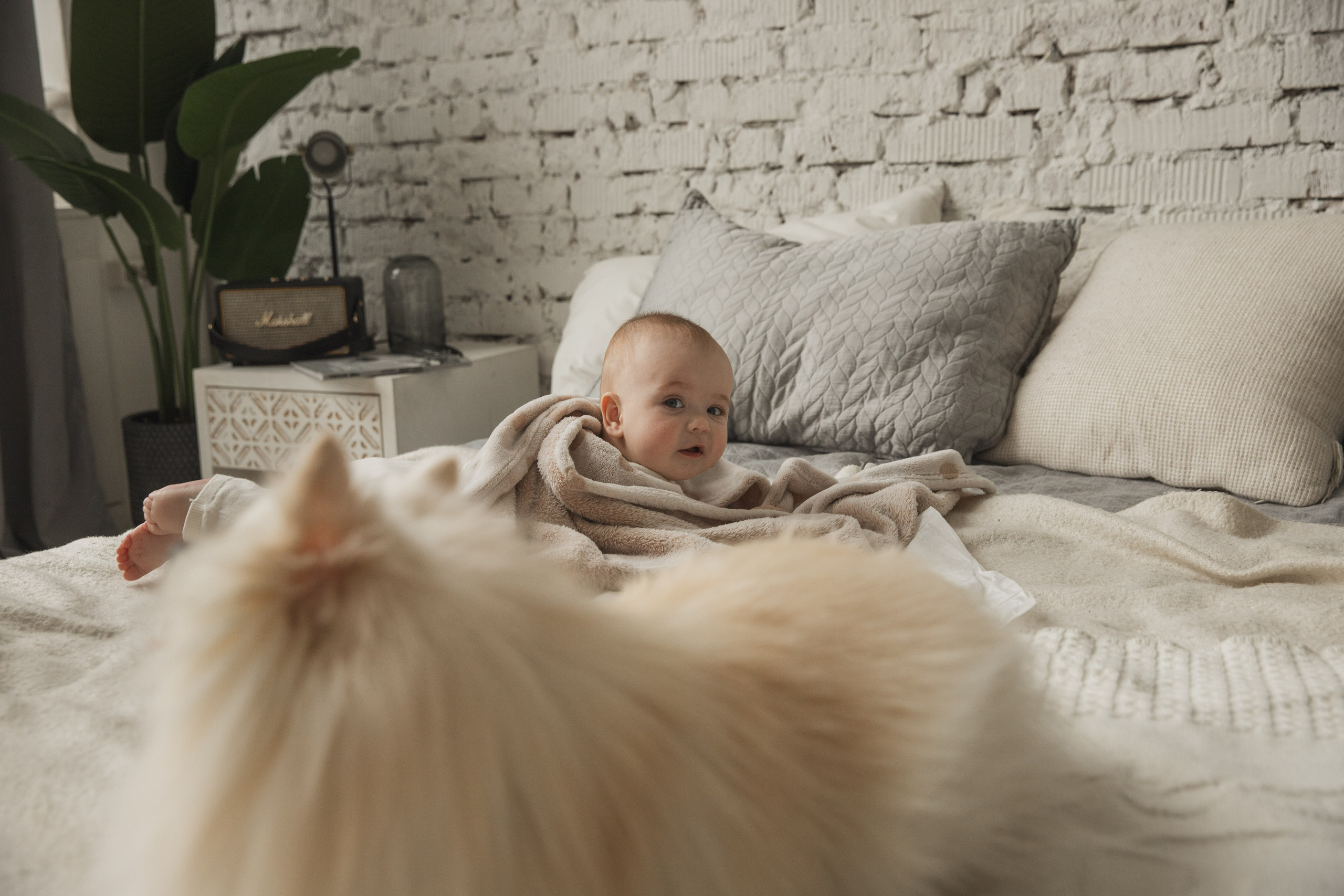 Семья Богдана. Свадебный и портретный фотограф в Москве Мария Кравченко