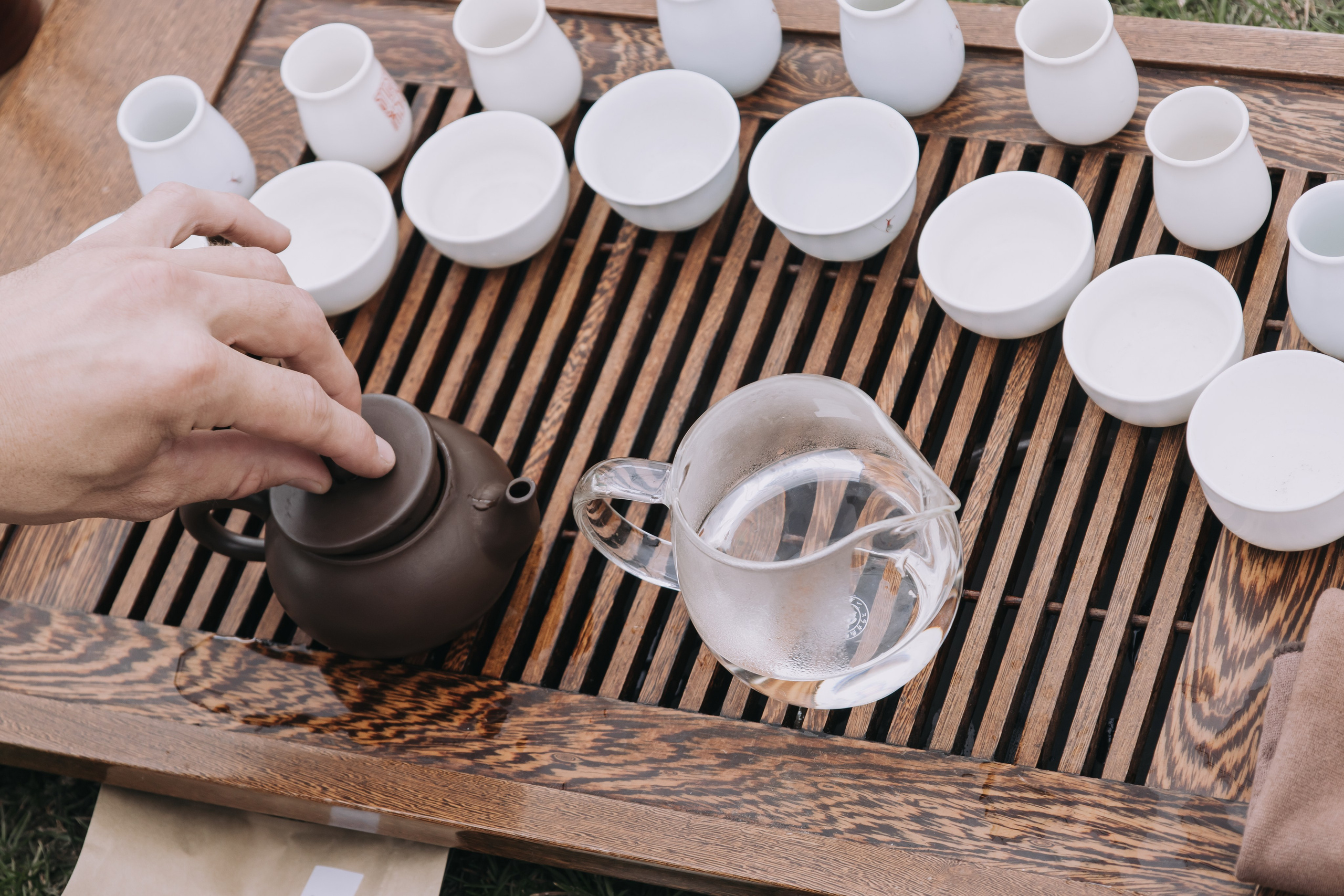 Корпоратив Природа. Репортажный фотограф Анастасия Головко