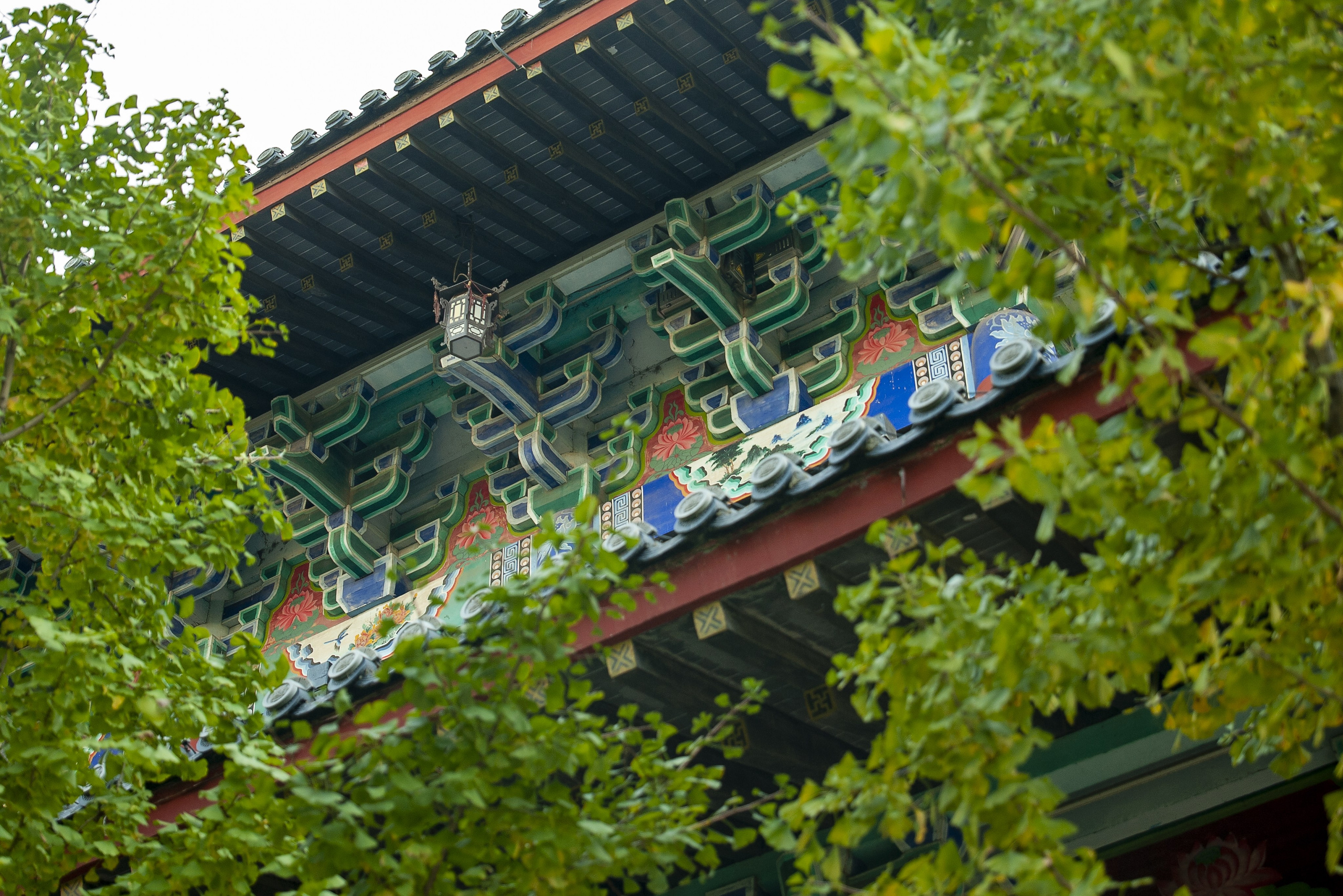 Загадочный Китай. FotoGraf