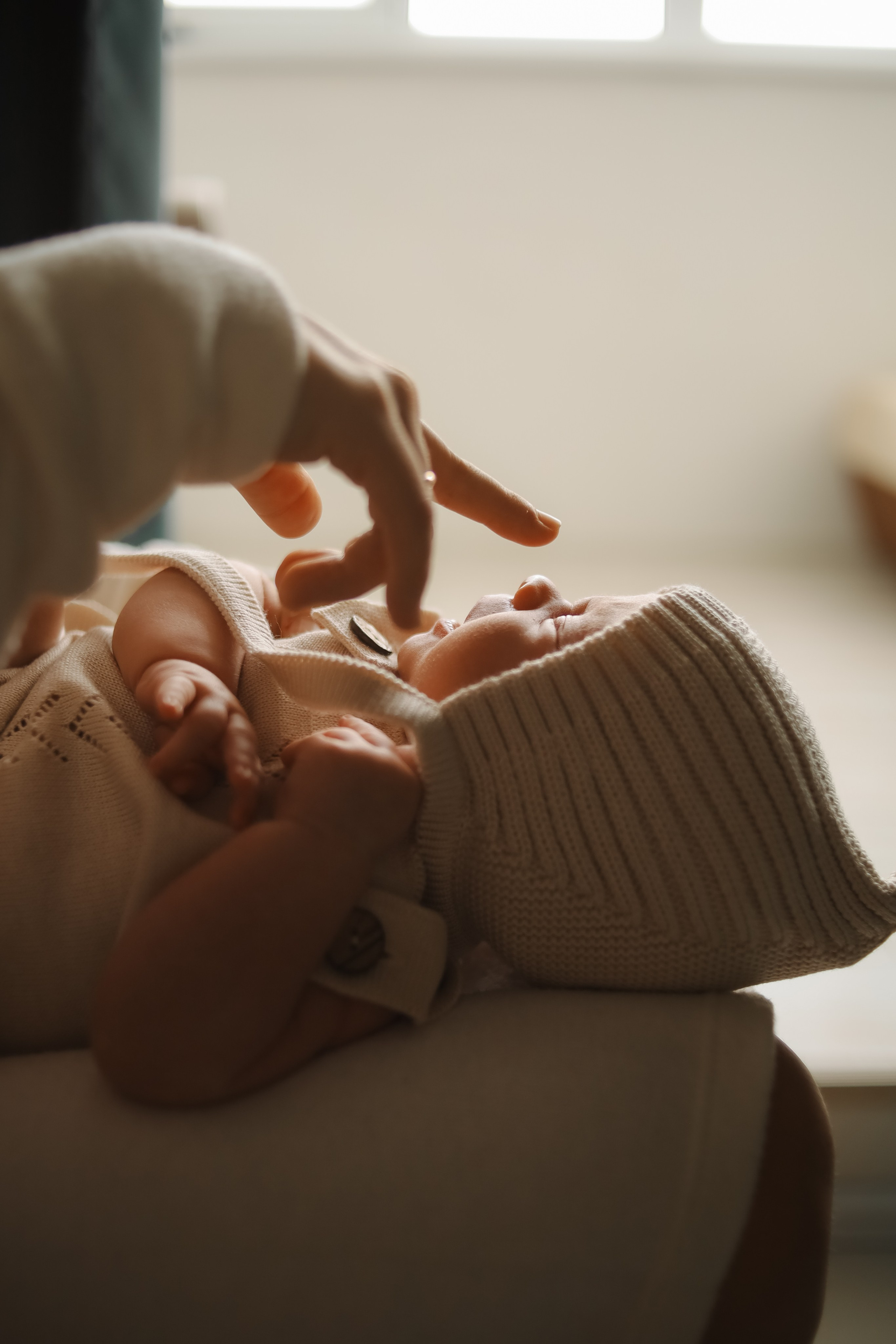 Лев. Phbyadel.wfolio.pro