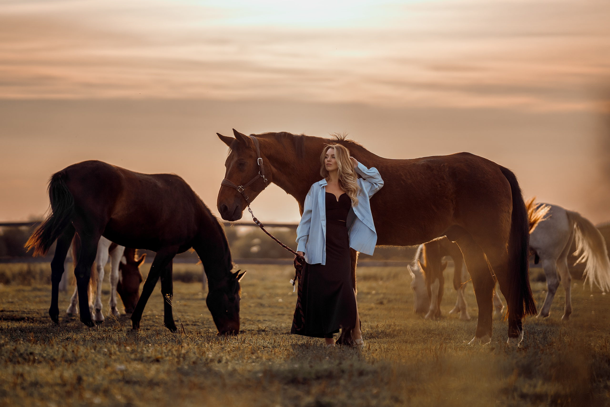 Фотосессии с лошадьми. Фотограф Артемьева Катерина|фотосессии с лошадьми