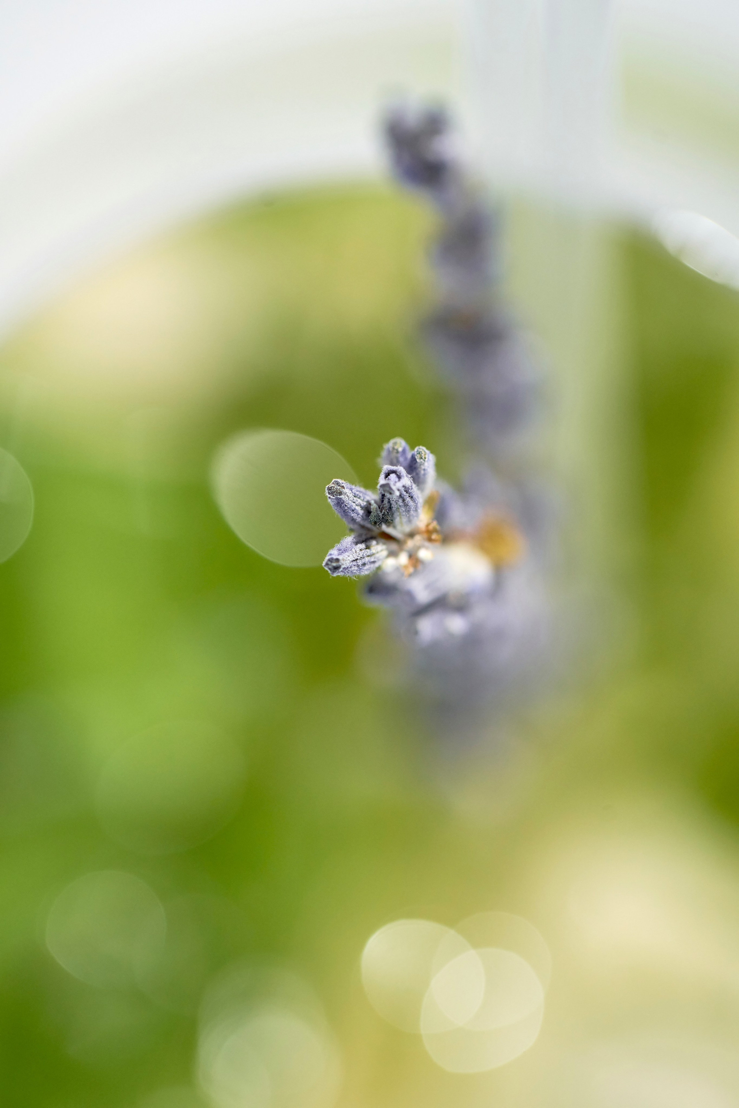 Ресторан «Murmansk». Контент фотограф в Москве Александр Хитько