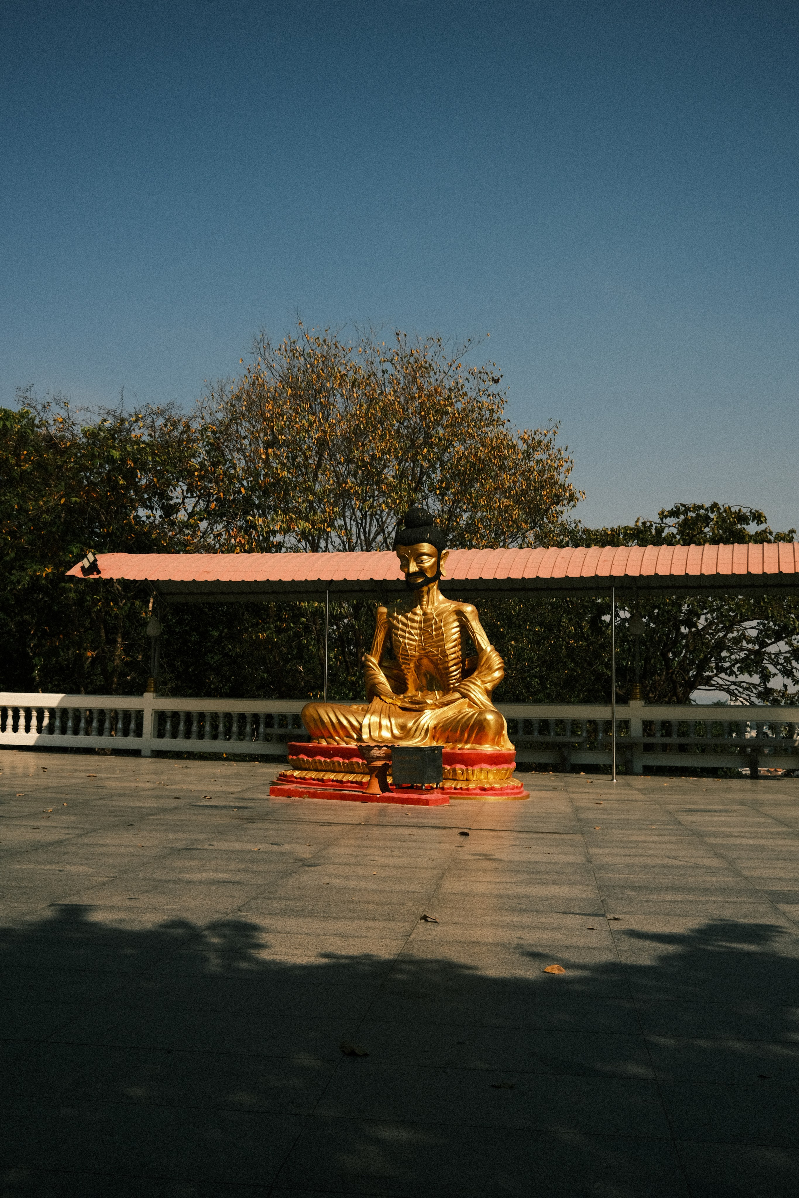 Тайланд. Цветная фурия. Портретный фотограф