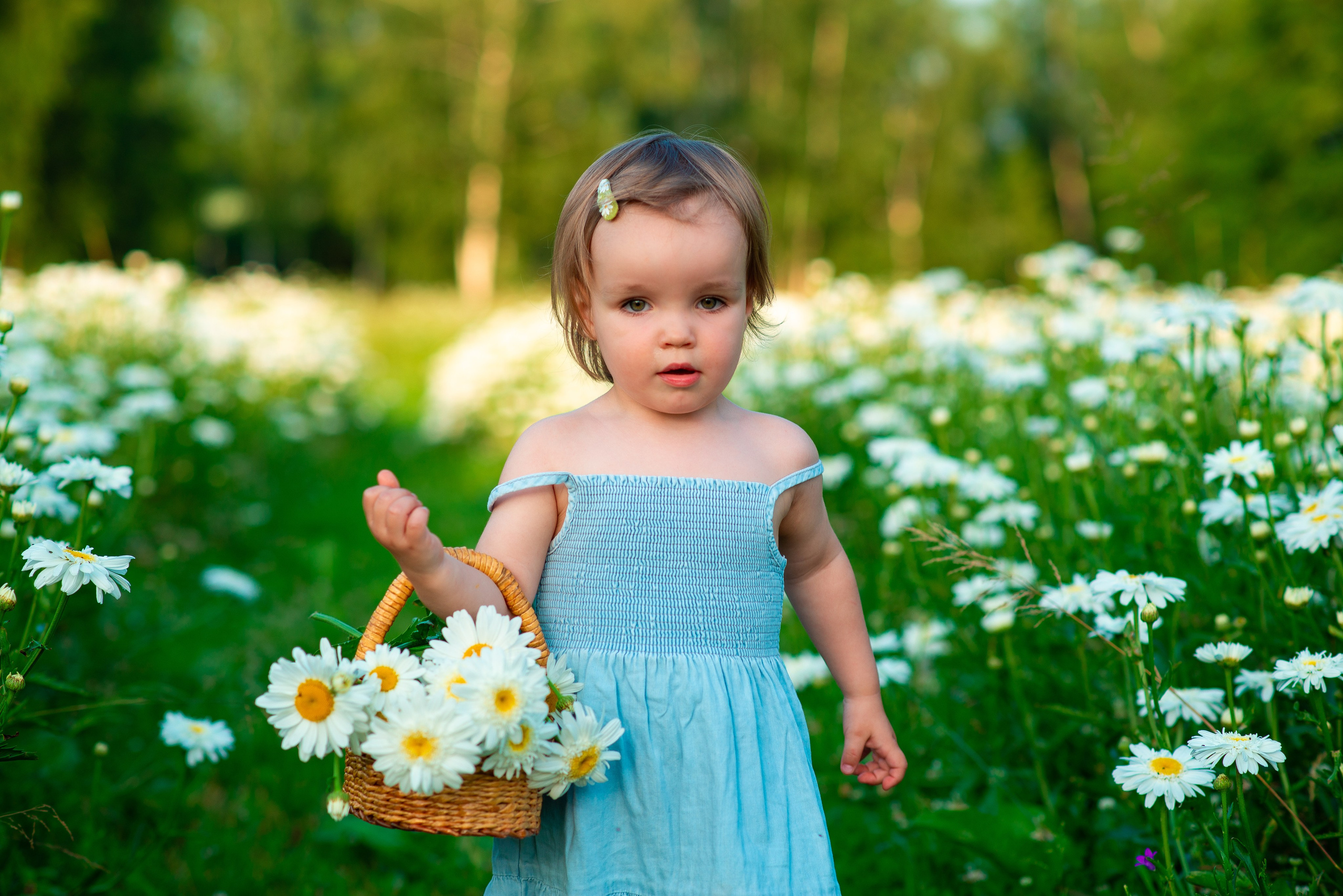 Вероника с семьей в ромашках. Семейный фотограф на выписку из роддома и крещение Минск Настя Гришук
