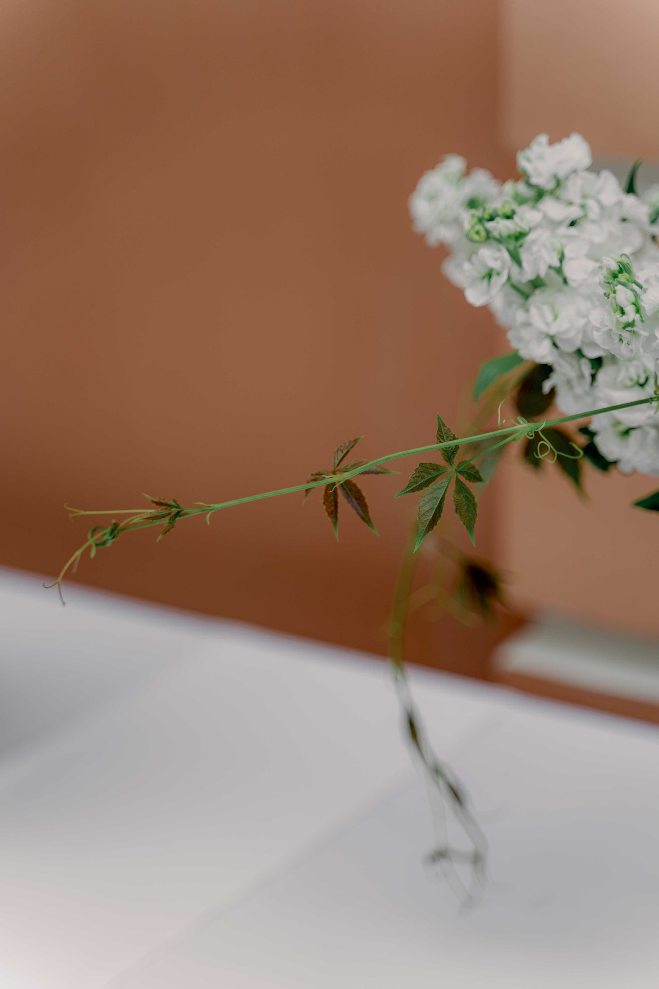 Изящная лекция в клинике в центре Москвы. Фотограф и видеограф в Москве и Абу Даби Мария Кулагина