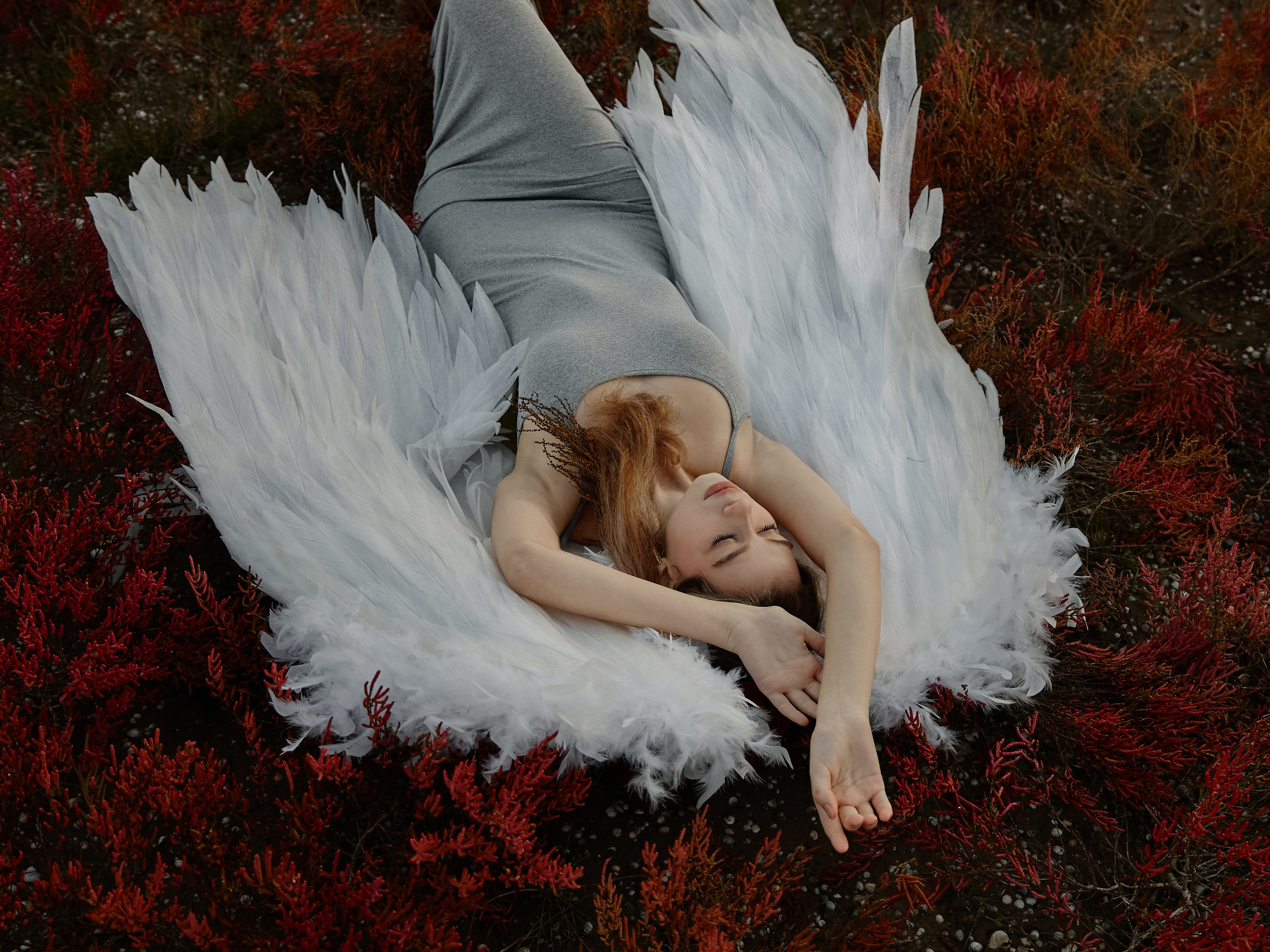девушка с крыльями, ангел лежит на красной траве