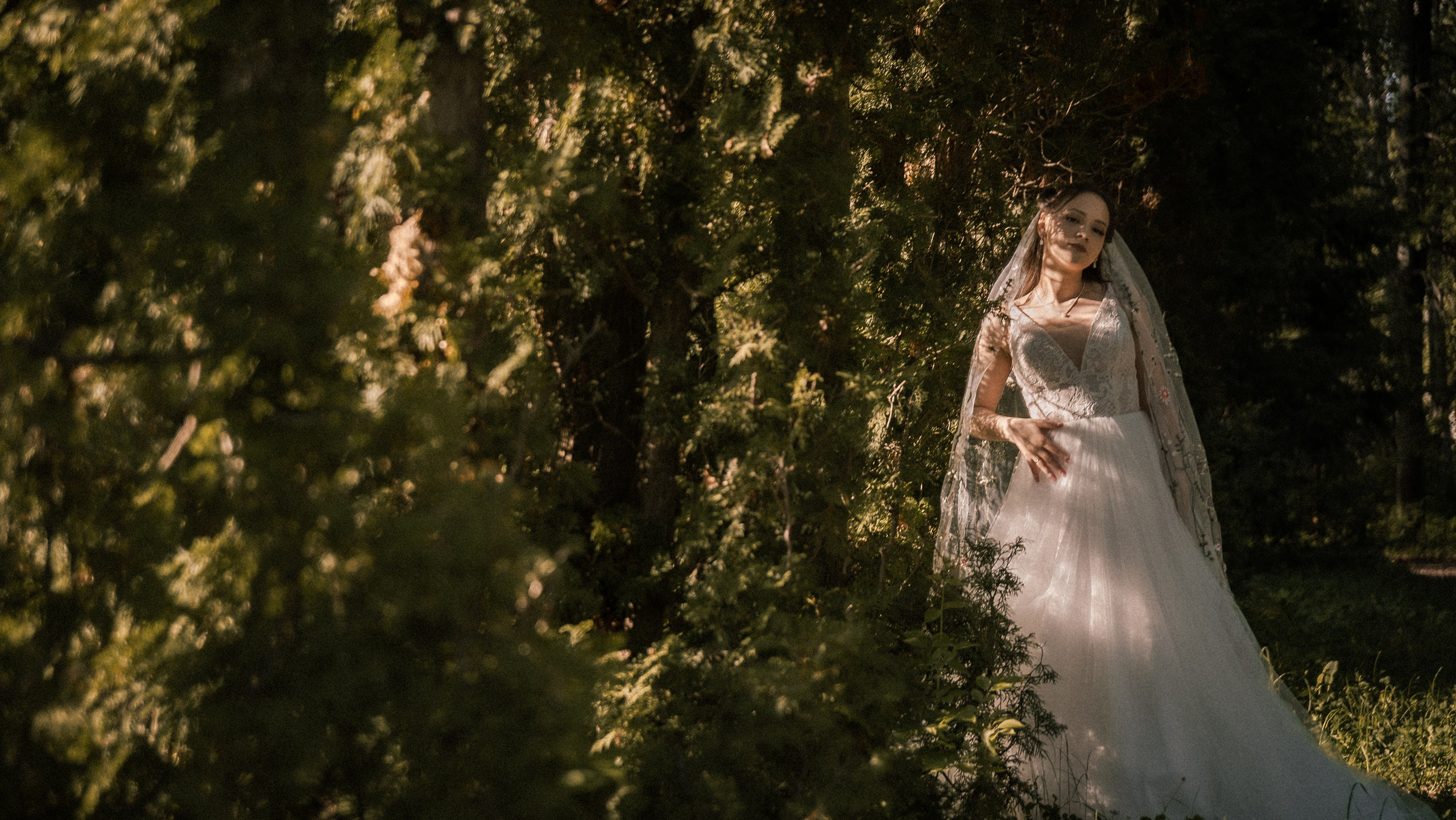 Алина и Арсений. Фотограф и видеограф Андрей Кукишев