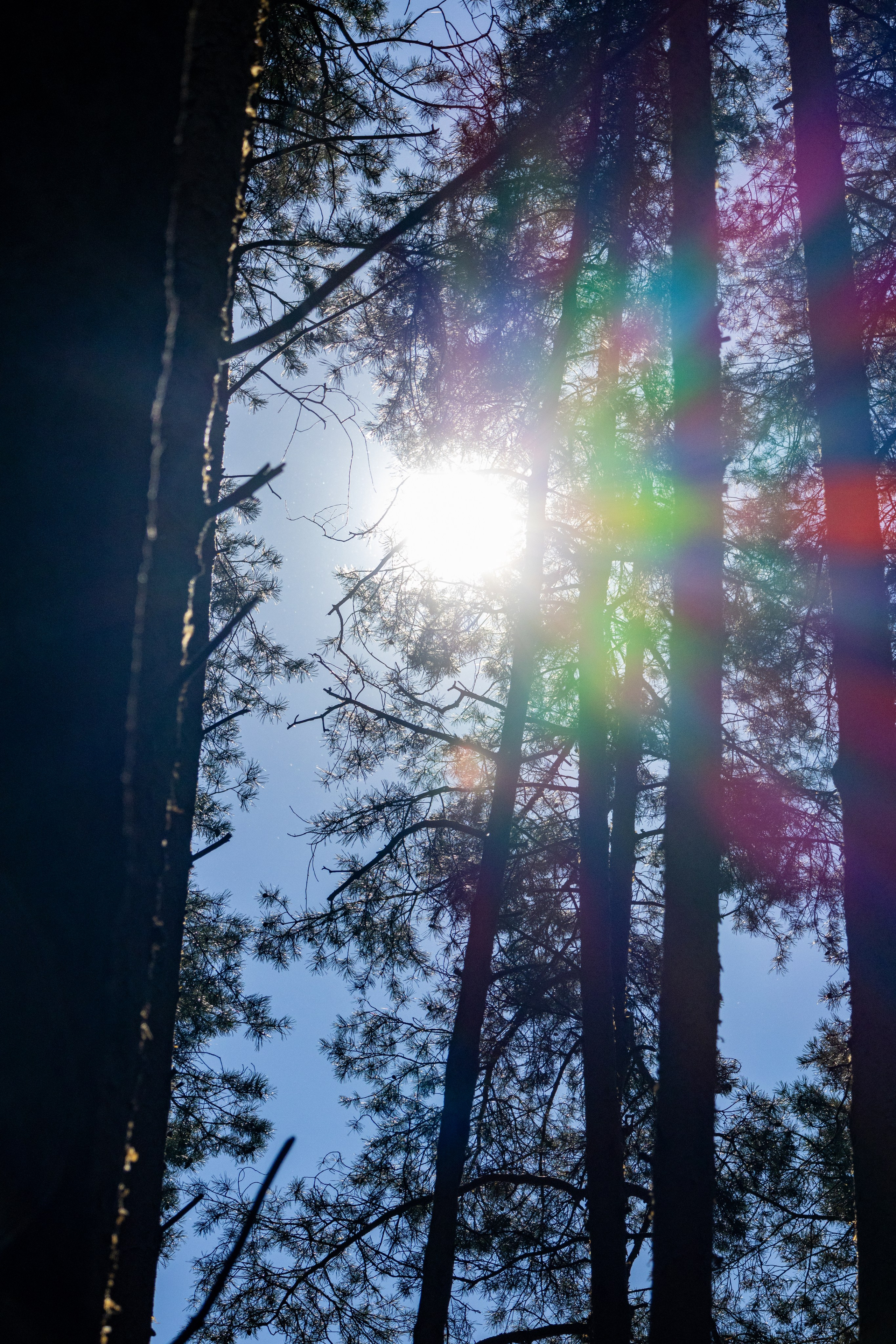 Екатеринбург. Jean De Vivre Gallery