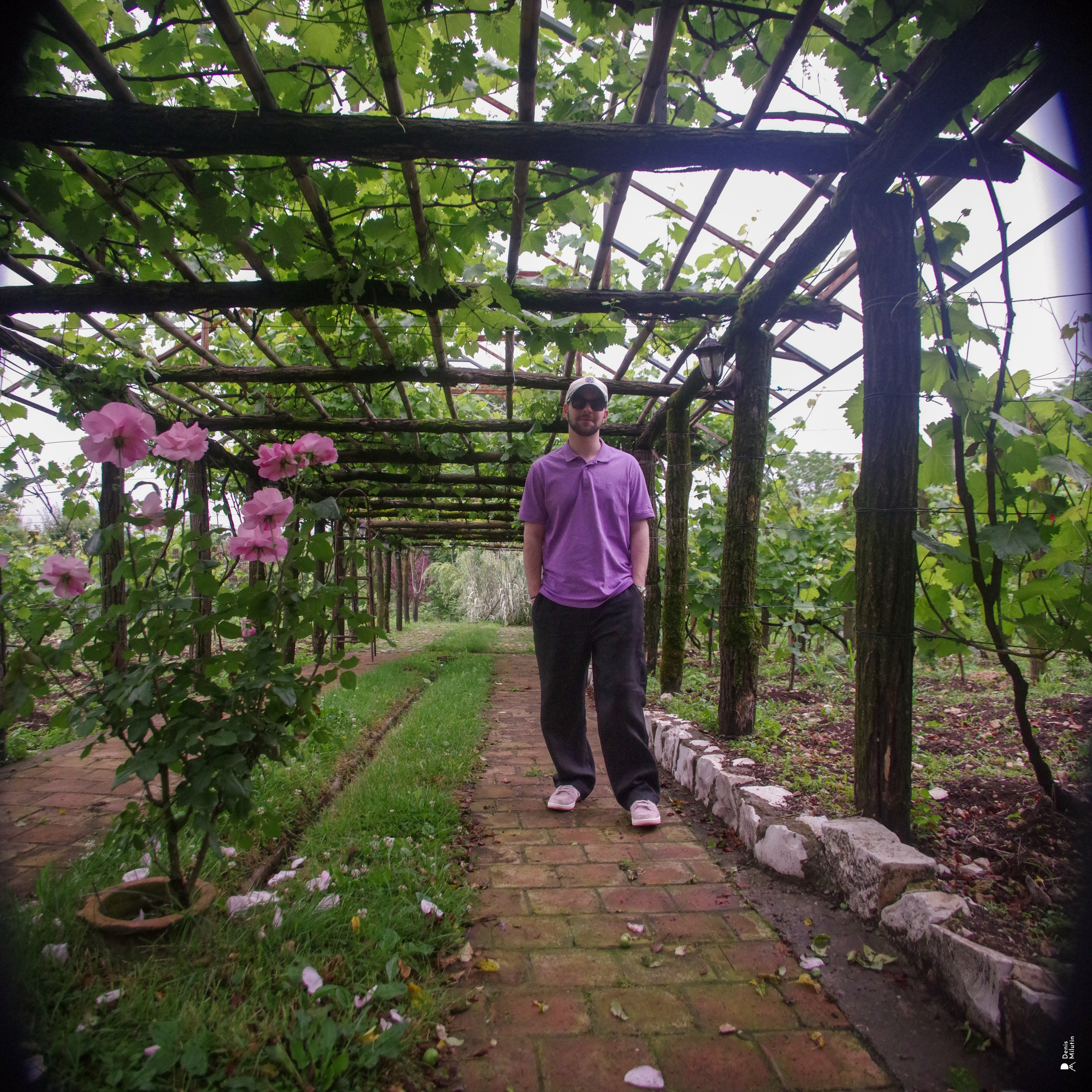 Хони. Портретный фотограф Денис Милютин