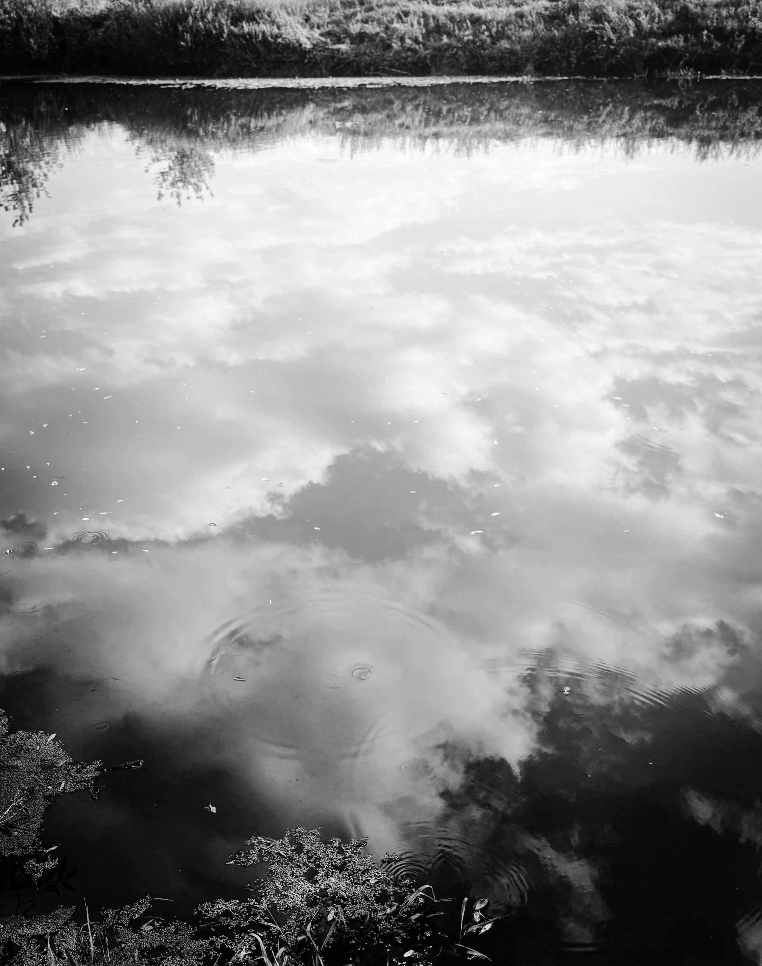 Nature. Фотограф Арсений Королев