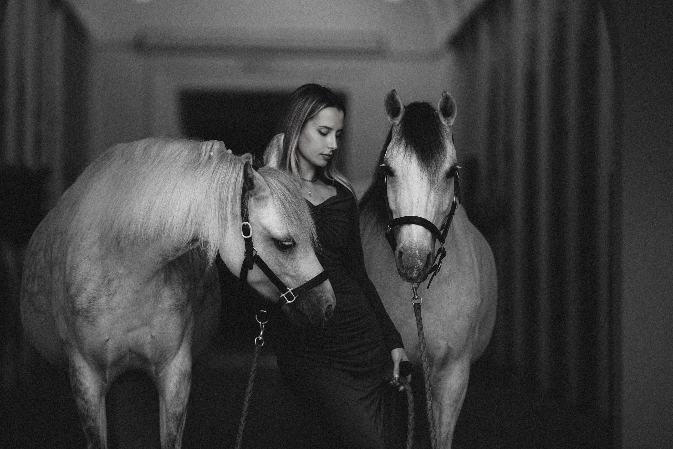 Конный фотограф в Москве — Дарья Алексеева | Премиальные фотосессии с лошадьми