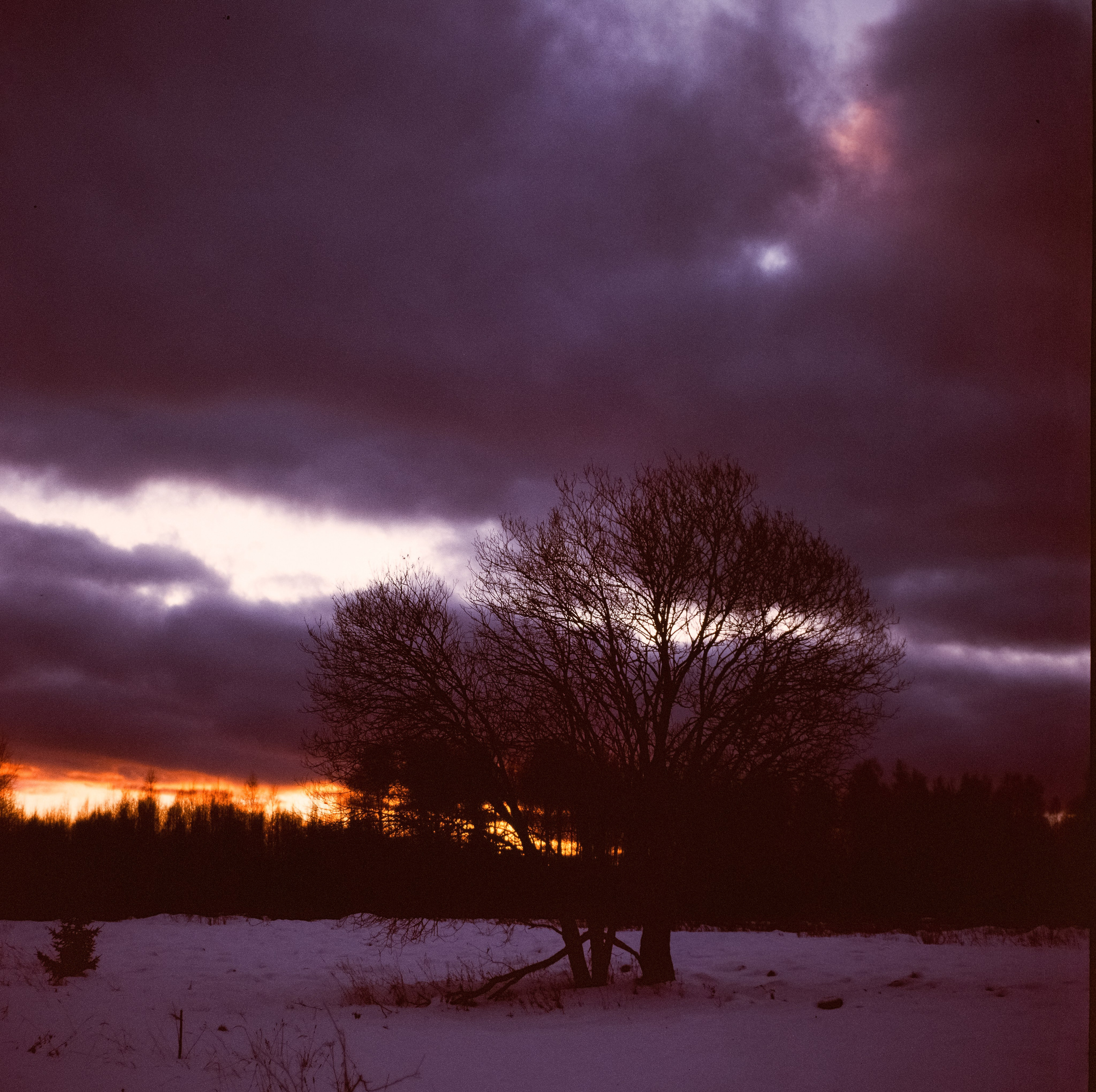 Kowa Six - Kowa 85mm f/2.8 (gray) Kodak Ektachrome E200