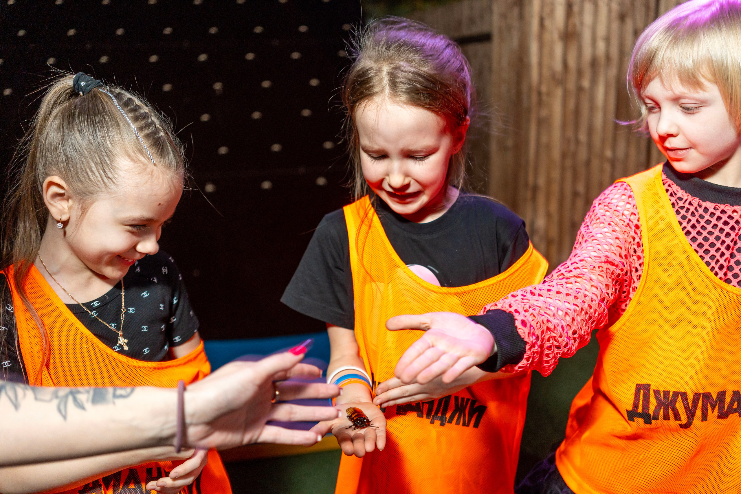 Квесты. Фотограф Юлия Попова