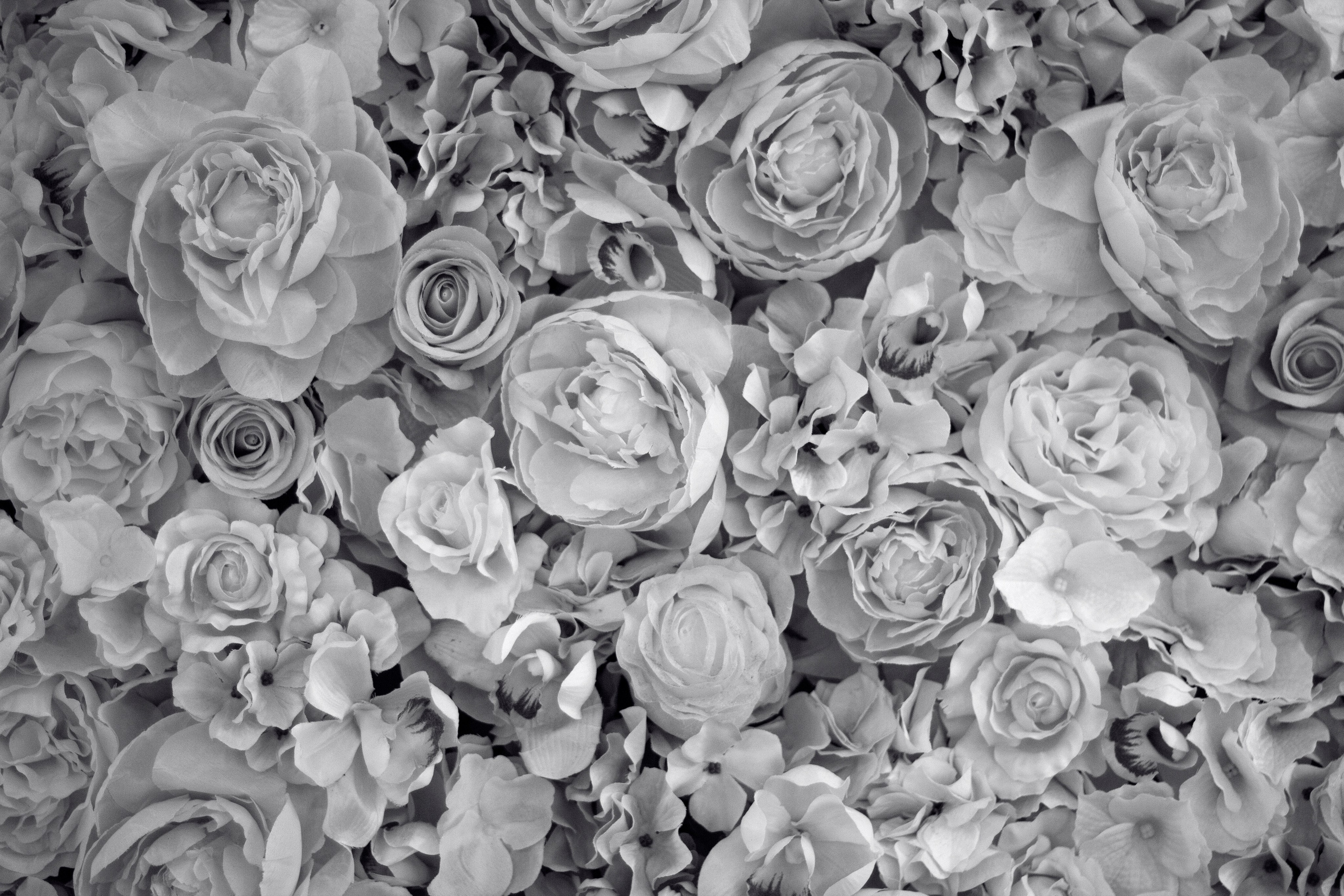 PIKANTO — бренд женской одежды