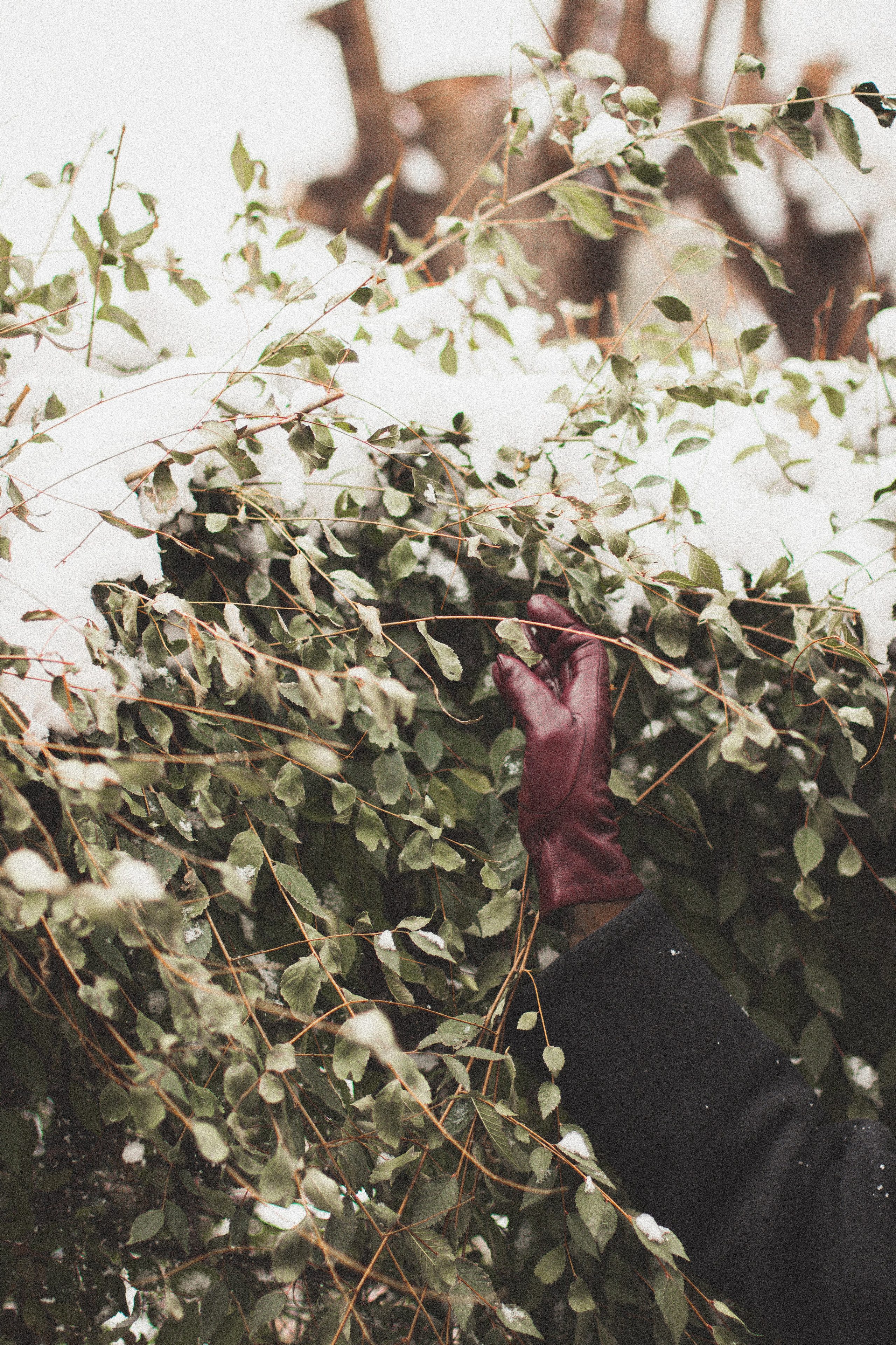 «Про тебя». Lifestyle фотограф в Хабаровске Елена