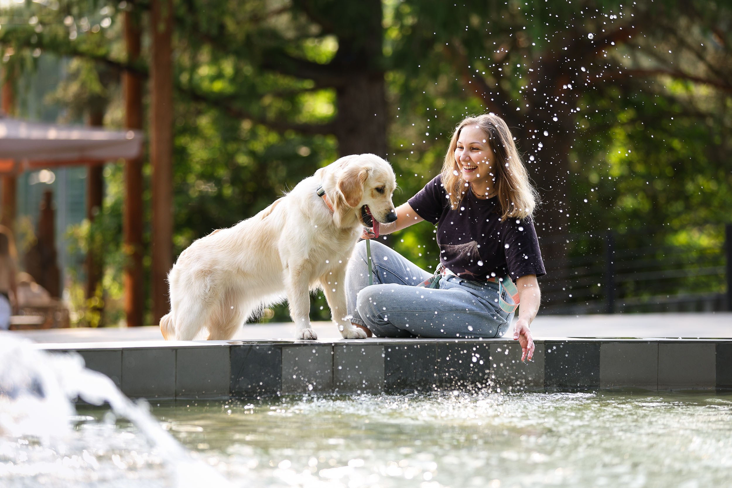 Фотопрогулка для четырех человек с собаками. Фотограф-анималист в Москве и Московской области Татьяна Фролова