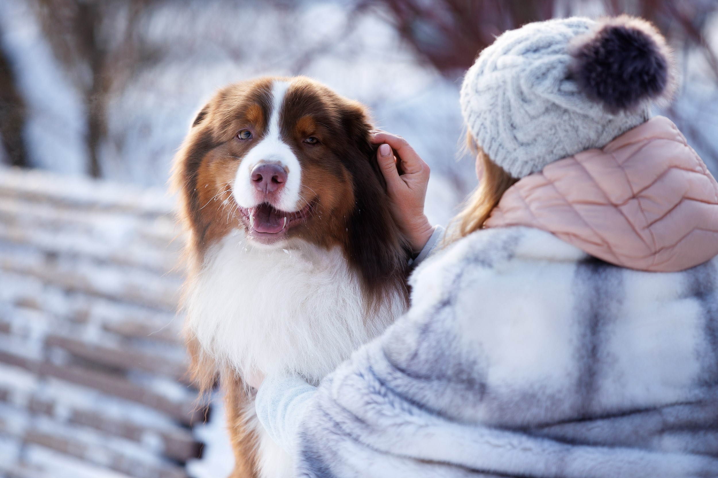 Марик и Дэн. Фотограф-анималист в Москве и Московской области Татьяна Фролова