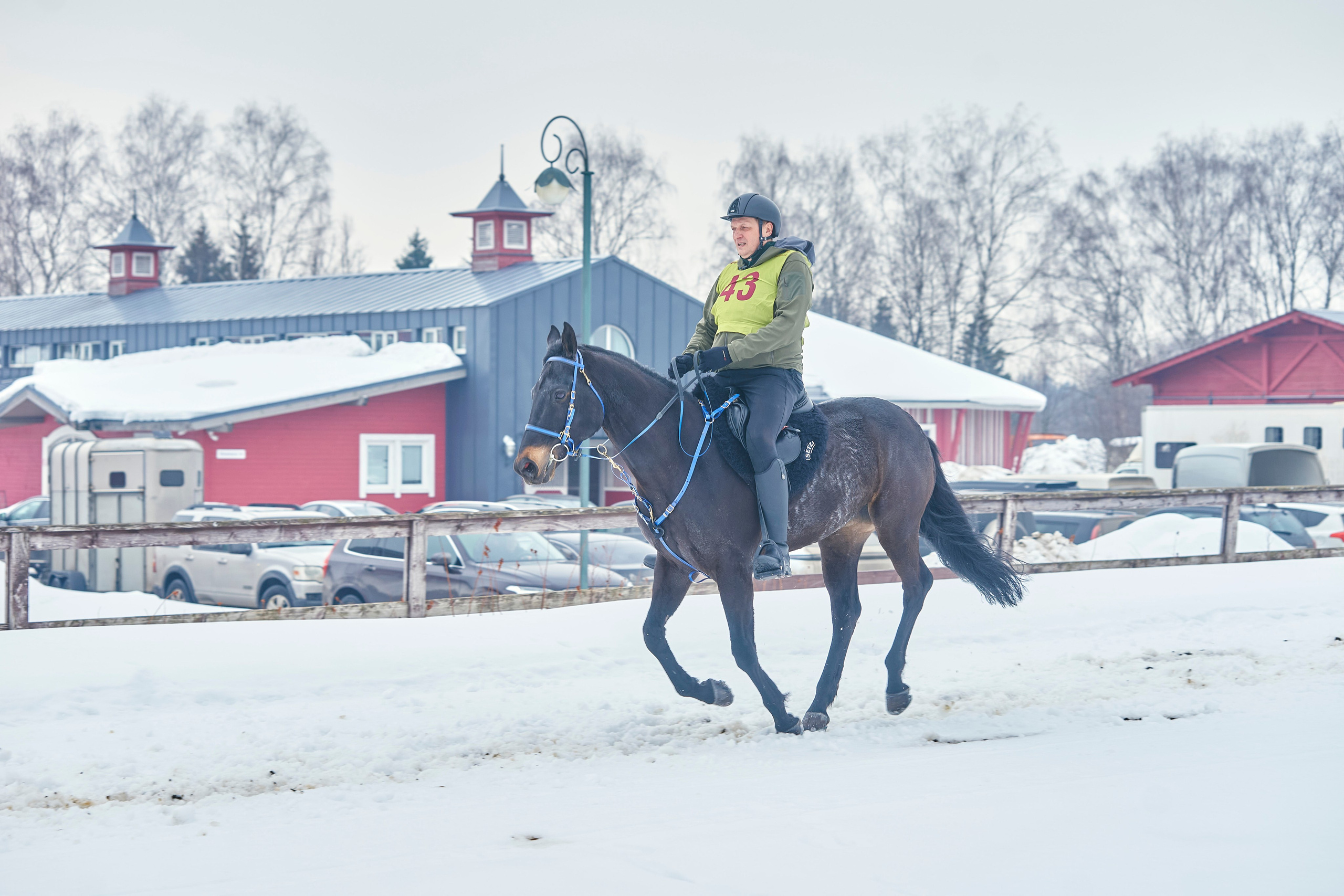 HORSE RACING. Фотограф Наталья Леонова