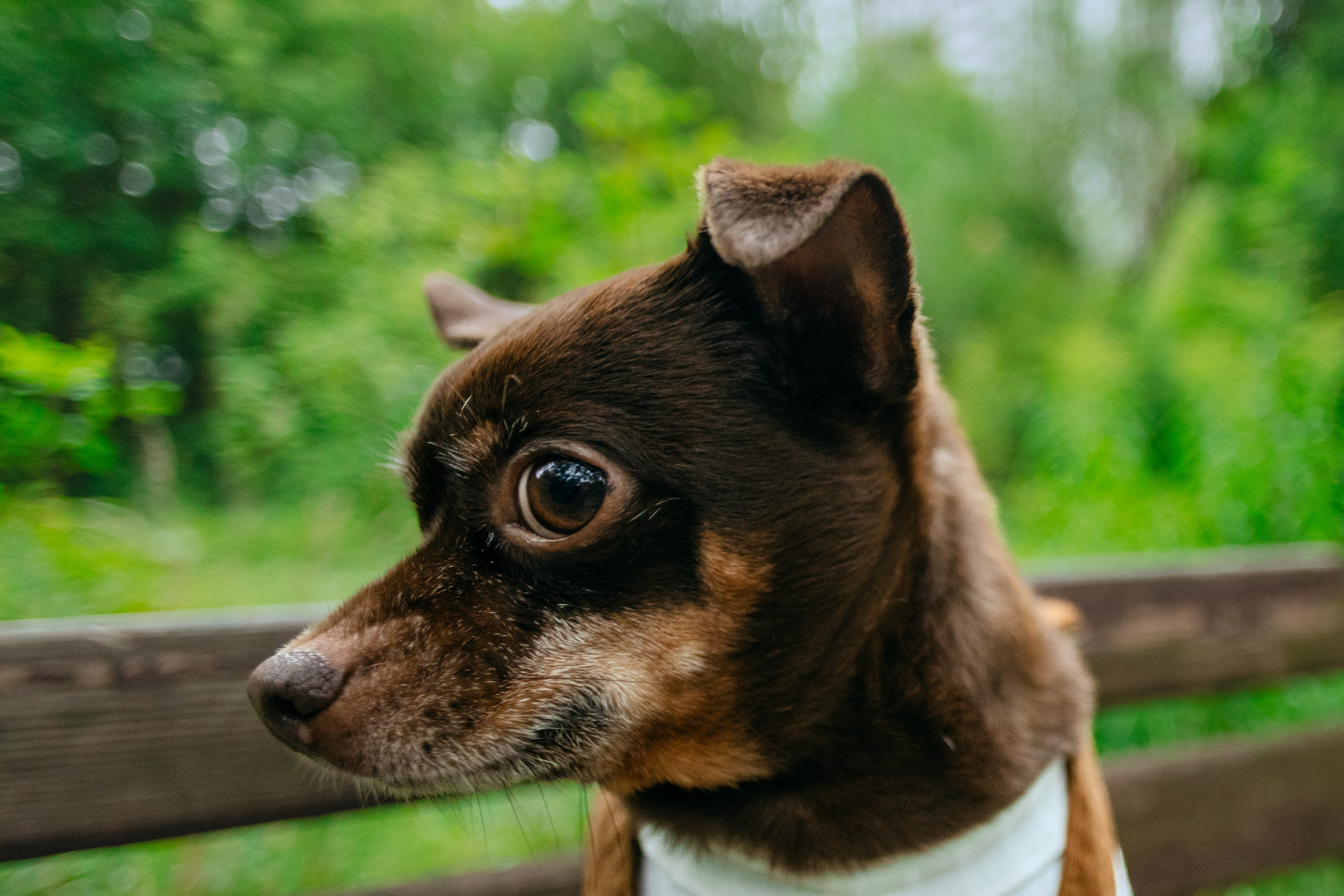 Юля и Леонид. Фотограф-анималист Татьяна Степанова
