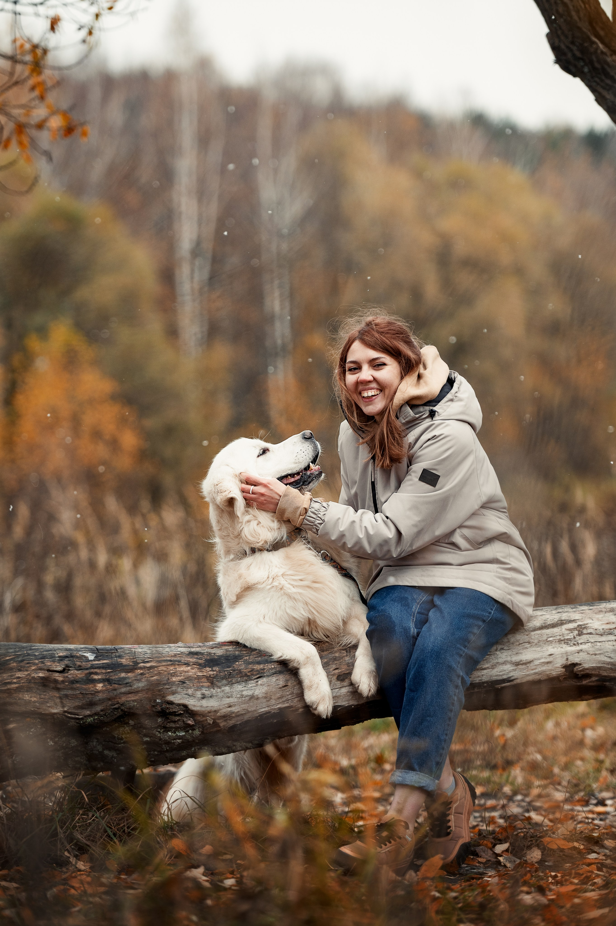 Айс и золотая осень. Фотограф-анималист