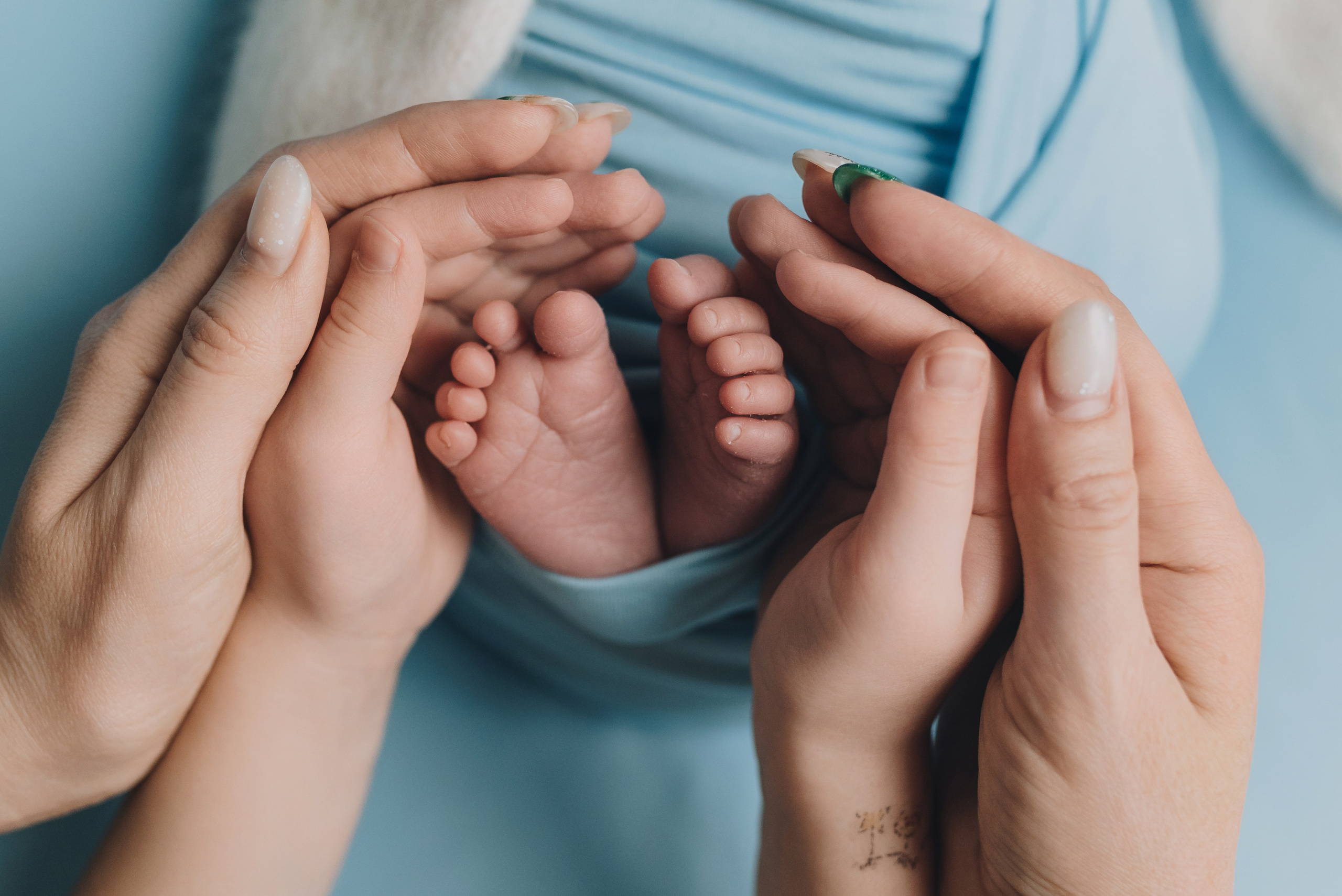 Alex. Natalia Finch Photography — Family, Kids & Pet Photographer in Chicago, IL