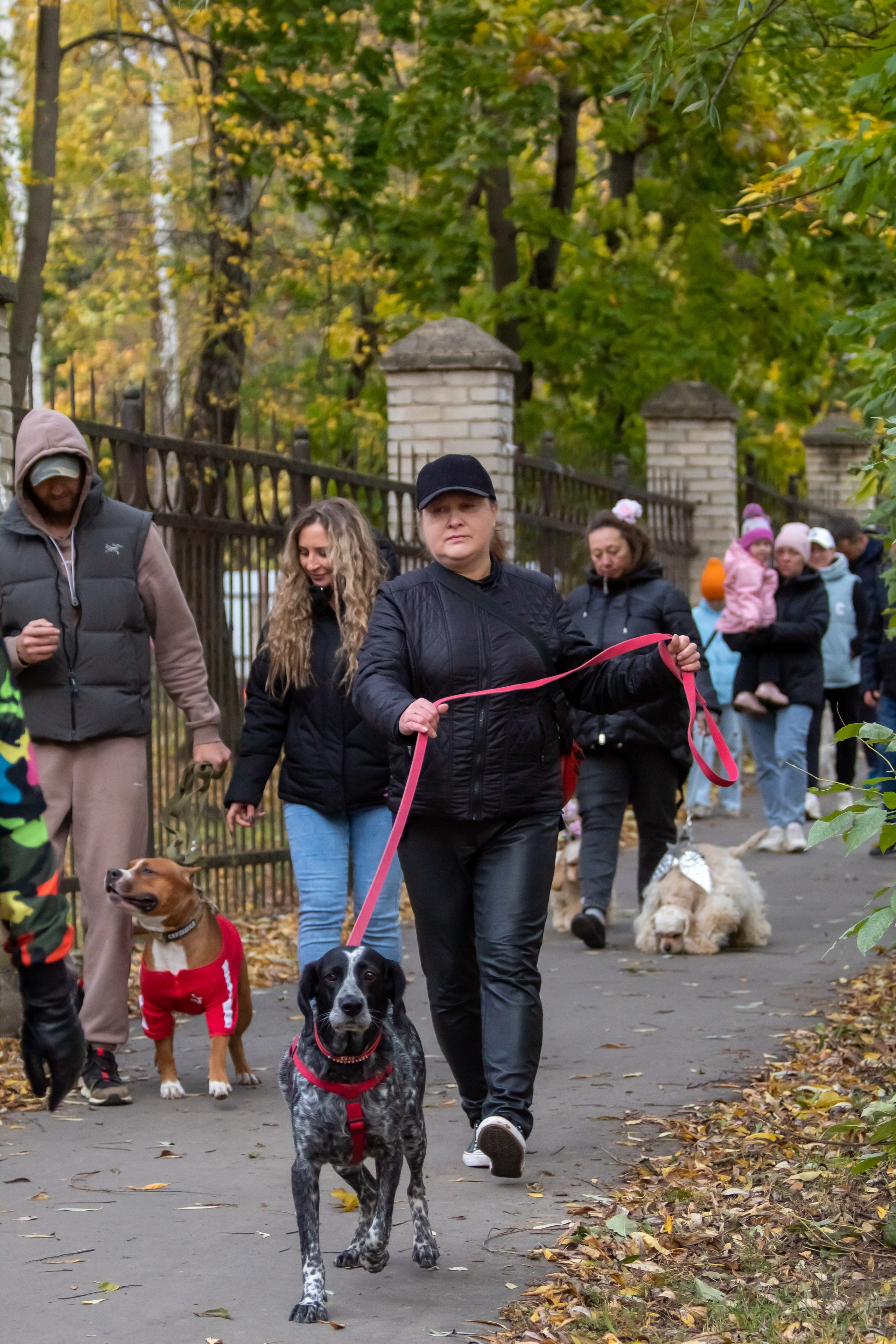 Костюмированный парад собак. Фотограф анималист — Тула, Москва