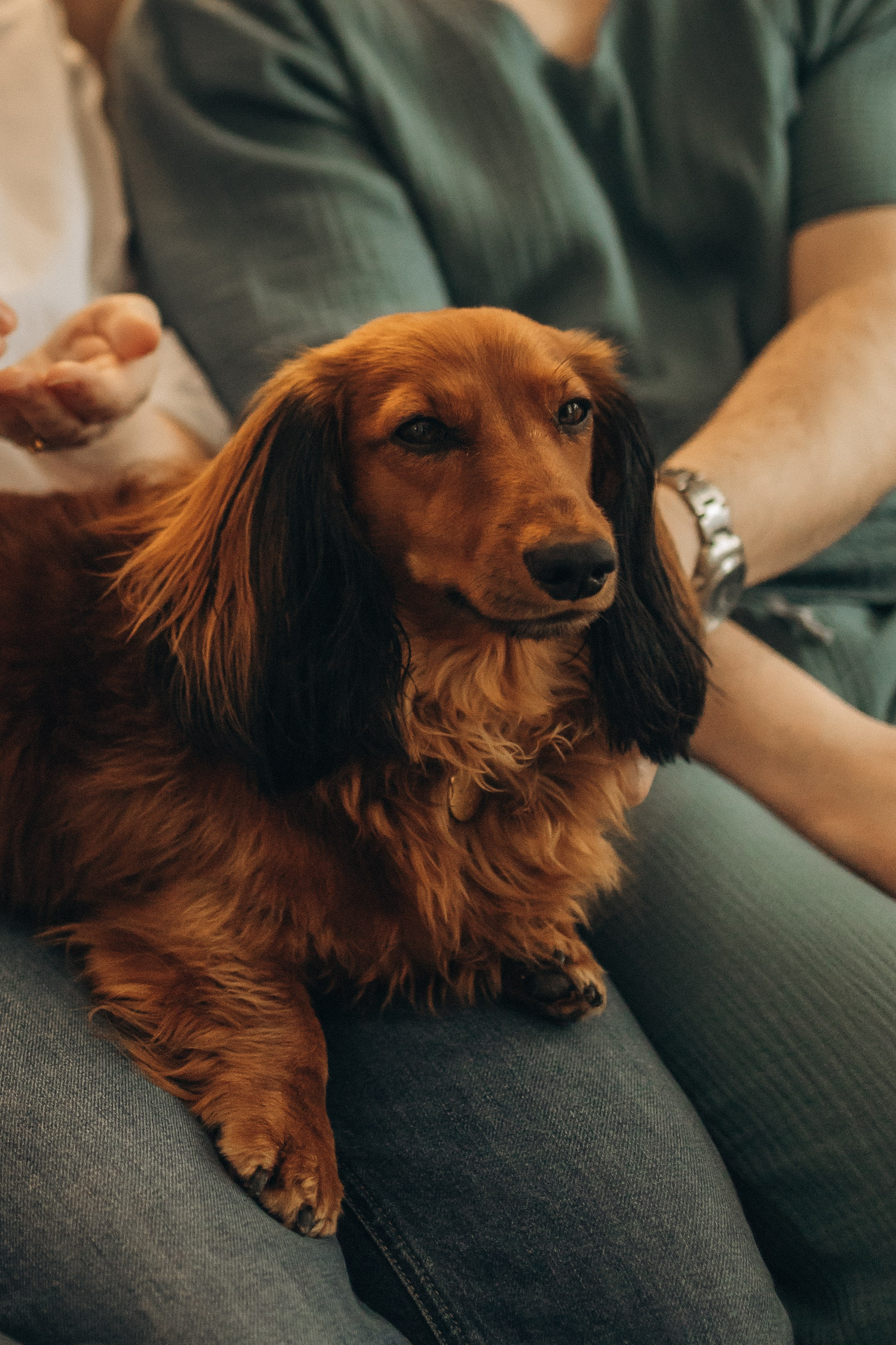 Полина, Максим и малышка Нина. Семейный, домашний, ньюборн фотограф Москва Цветкова Елизавета