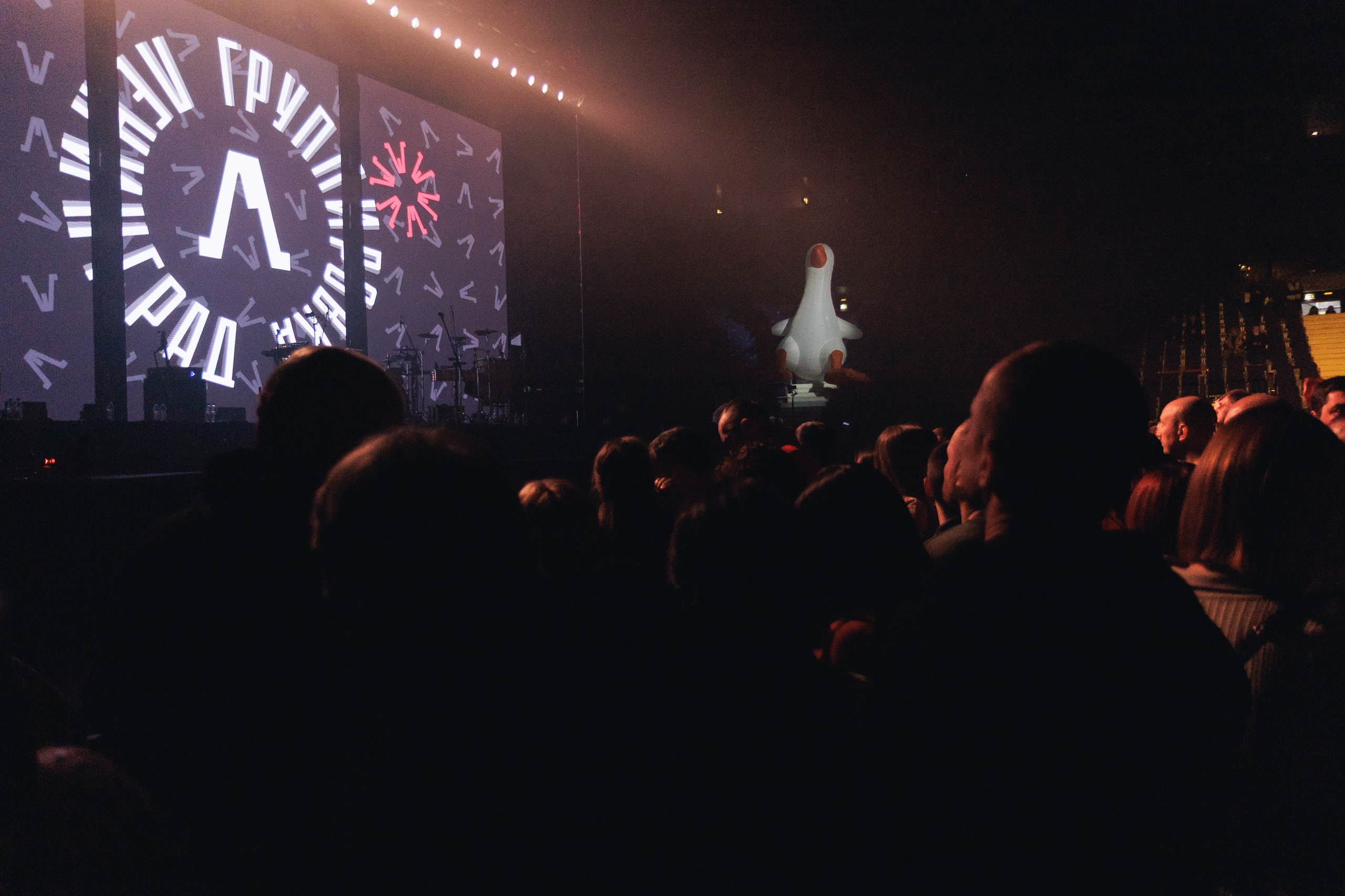 Концерт группы «Ленинград». Ярославль. 2026. Репортажный фотограф. Ярославль. Мелюшин Александр