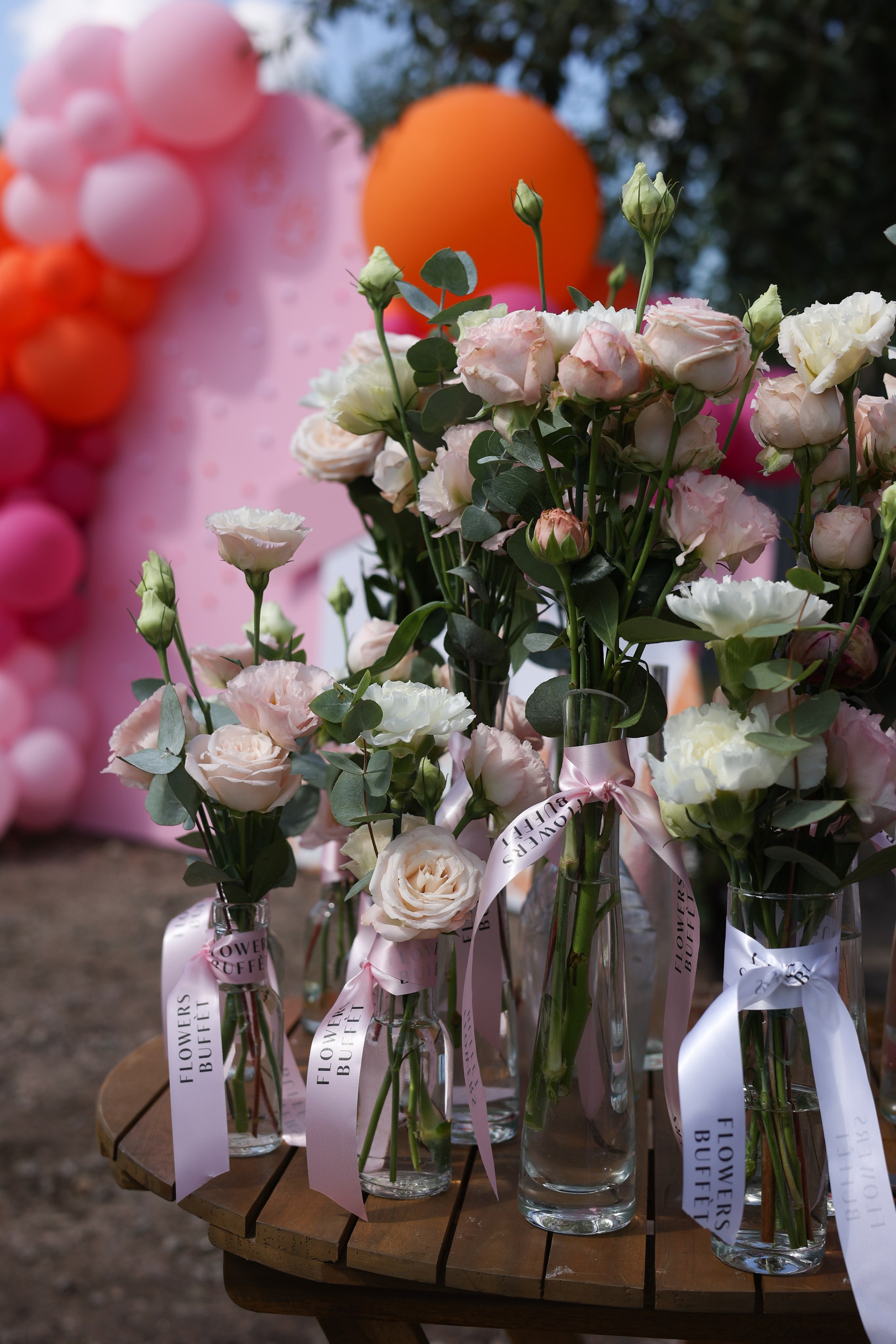 Апероль 1 годик. Фотограф Санкт-Петербург