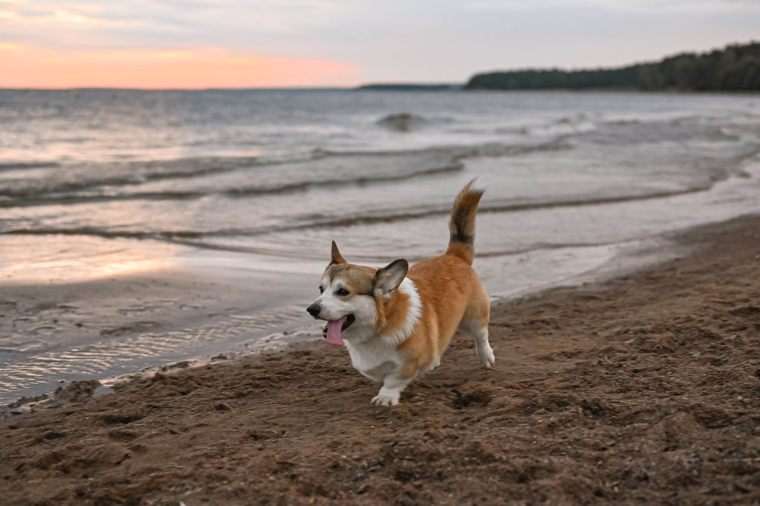 На побережье. ZDARONOKIA Репортажный фотограф
