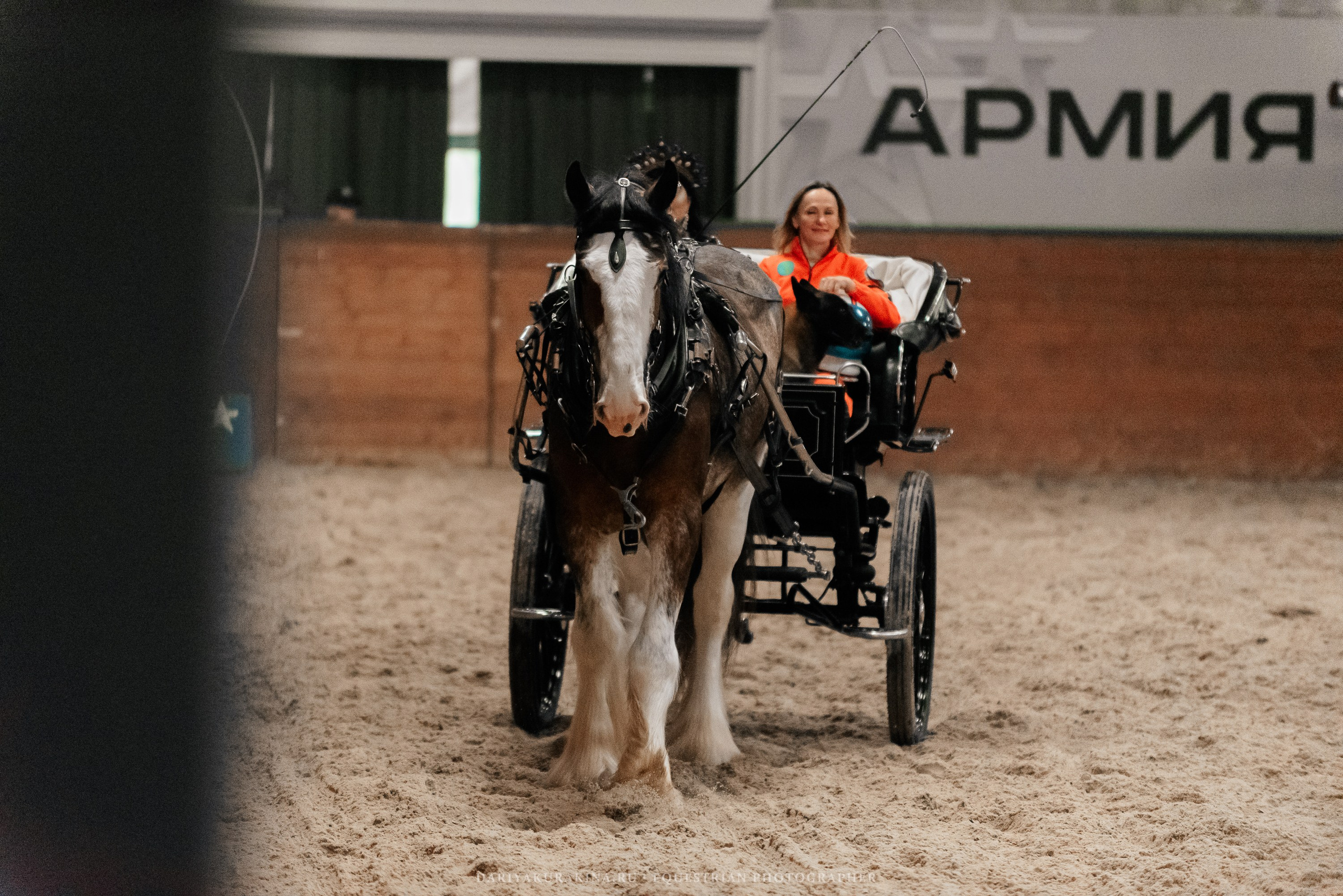 Конное представление «Дыхание Звёзд». Конный фотограф Куракина Дарья • Фотосессии с лошадьми