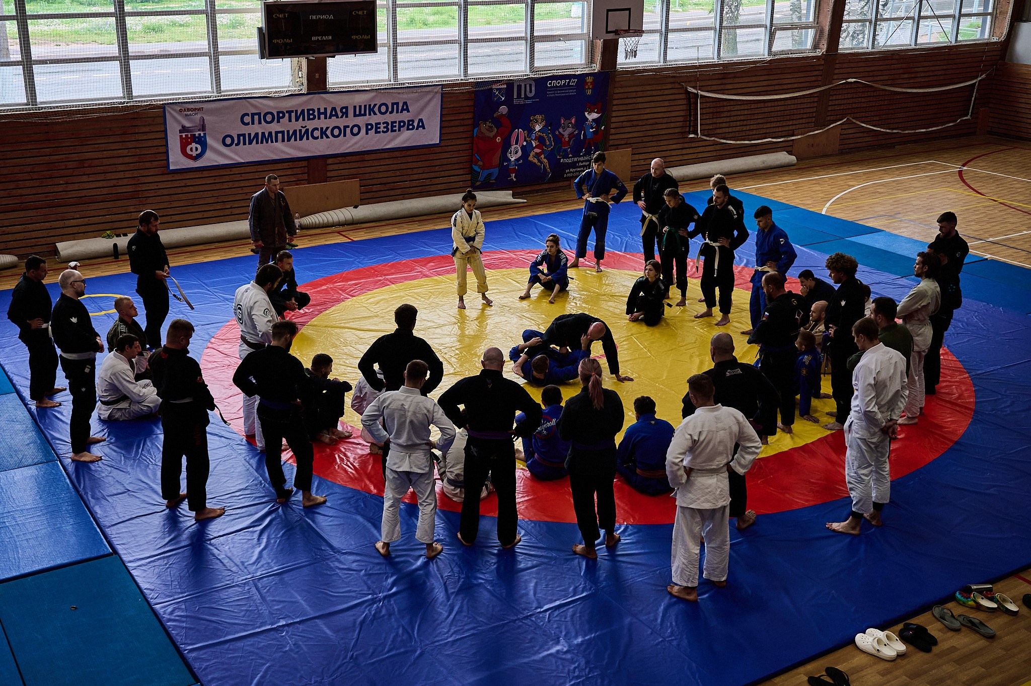 D.D. CAMP VBG Бразильское джиу-джитсу. Репортажный фотограф в Санкт-Петербурге Диана Ларченкова